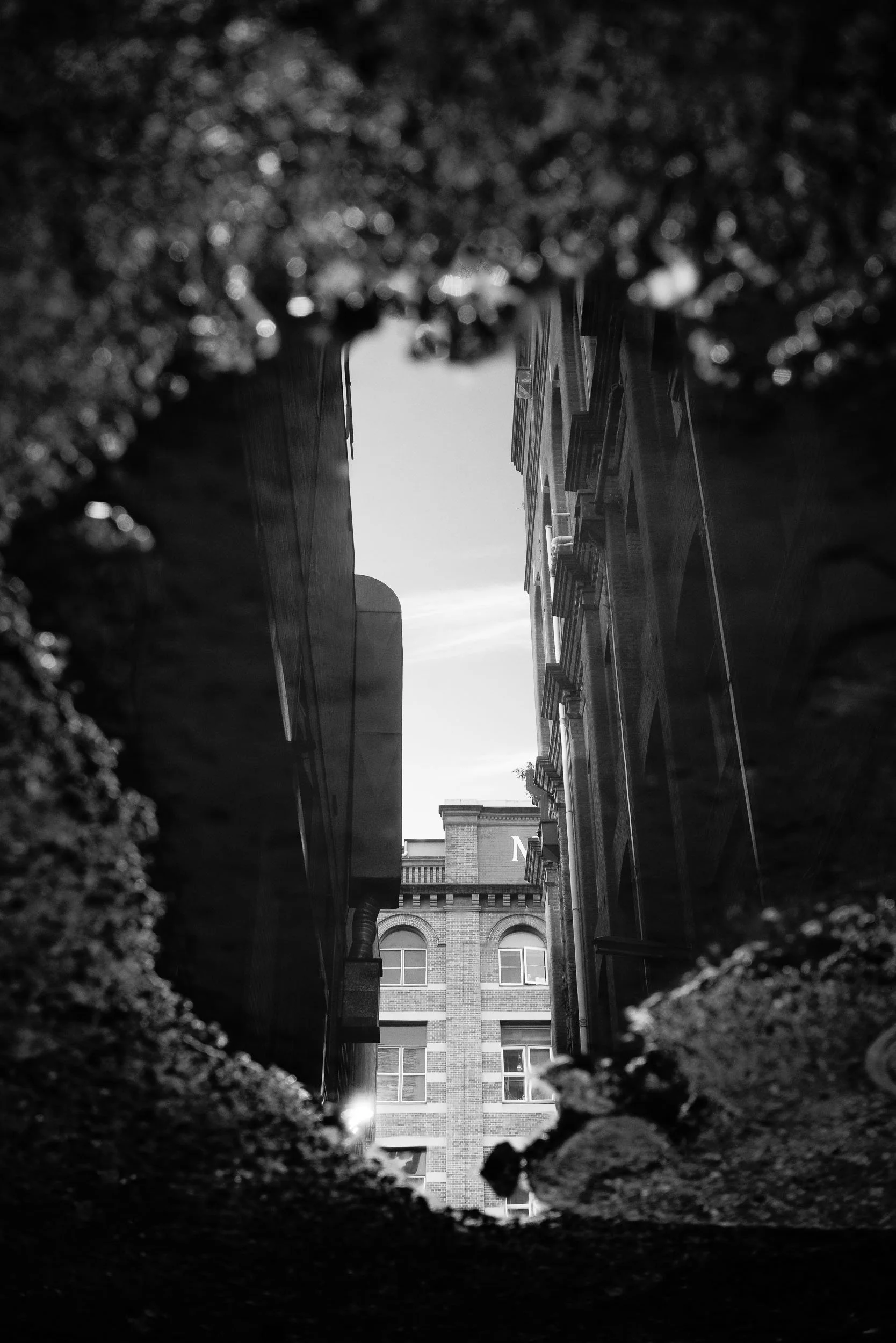 Reflected Realities: Even within life's most serene pools, profound reflections gracefully emerge. The building's inverted image serves as a timeless visual reminder to seek deeper truths, discovering profound clarity and perspective within moments o
