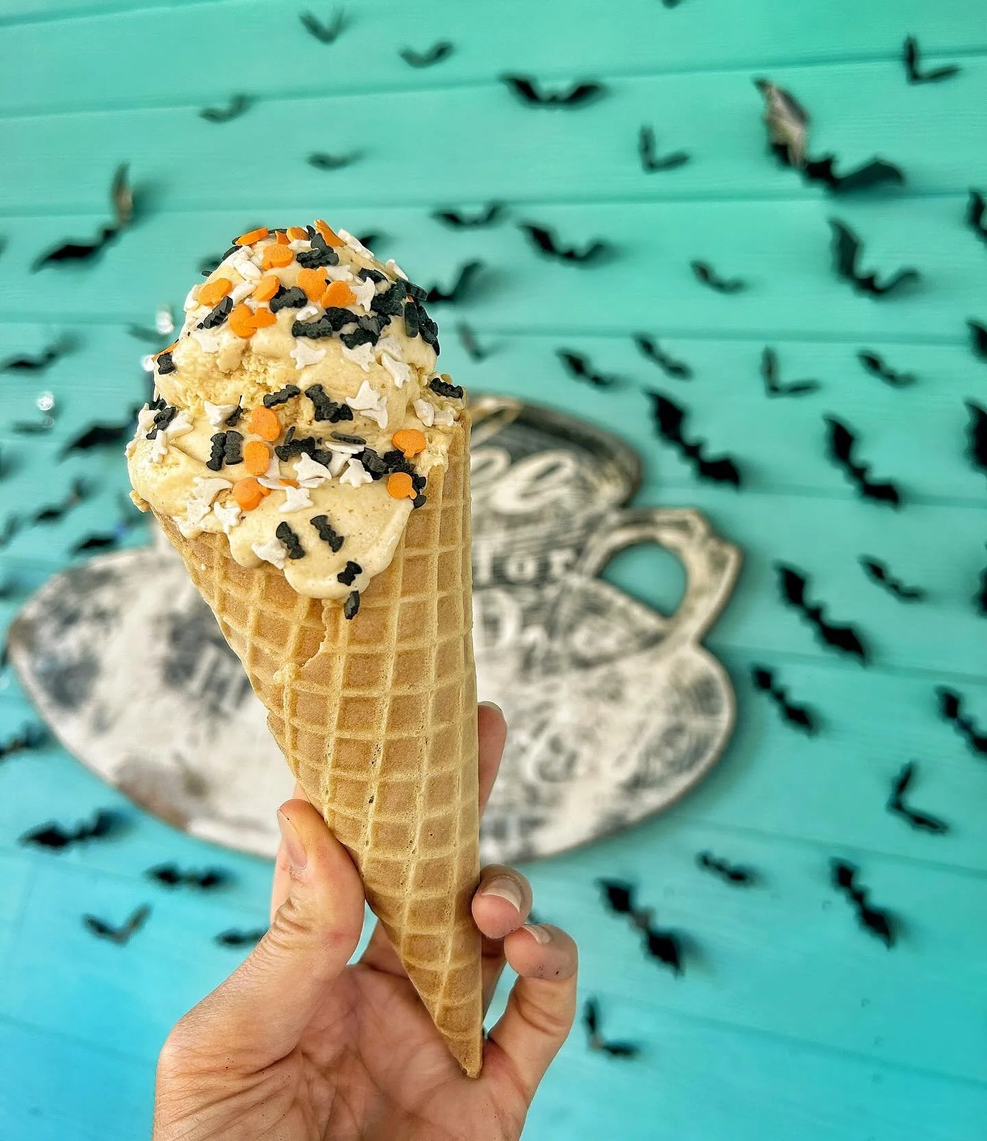 Pumpkin Ice cream with spooky sprinkles anyone? ๐ป๐๐งกโจ
.
.
.
.
.
.
.
.
.
.
.
.
.
.
 #nativejoesscoopandgrind #nativejoesnmb #nativejoes #icecream #coffee #icecreamscoops #customersoftheweek #weloveourcustomers #supportlocal #supportlocalbusiness #fa