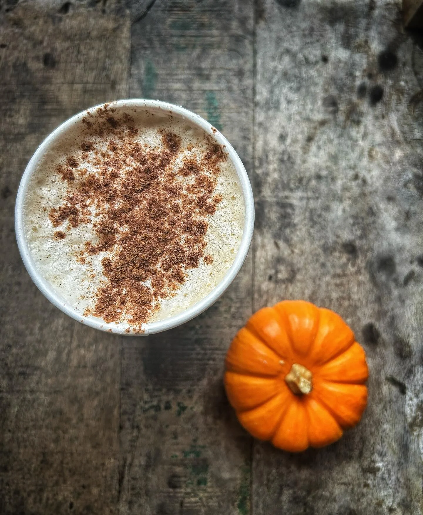 Pumpkin Spice and everything Nice ๐๐งก๐ค๐งก๐
.
Also guys don’t forget We are teaming up with @kindkeeper Animal Rescue for a friendly pup meet and greet & adoptions โจ the event will be held Sunday the 26th, from 2pm -6pm and 10% from all ou