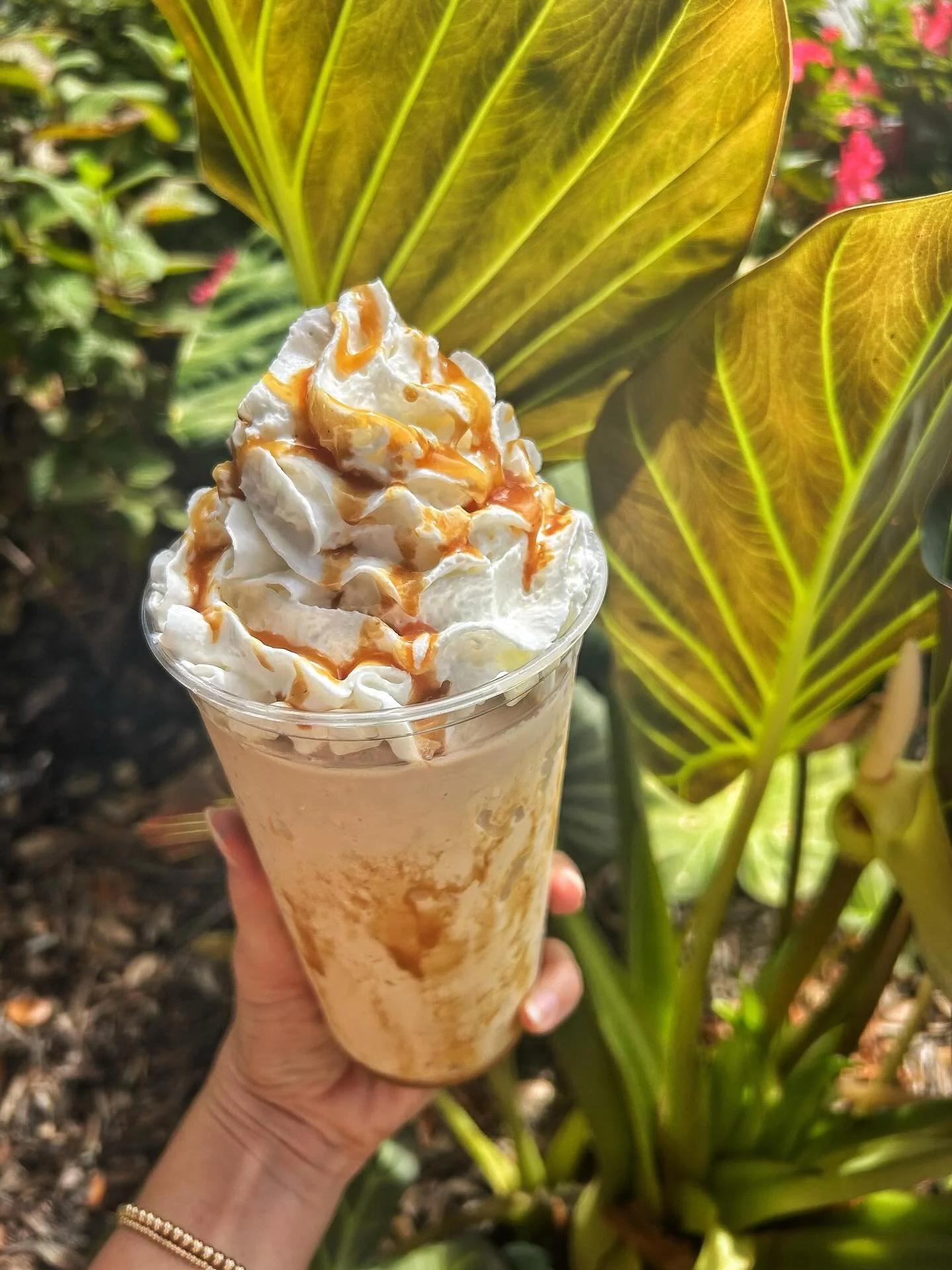 Come on and get your fill this week is our LAST WEEK of the season! Time to indulge in our fall delights while you still can! ๐ง‍โ๏ธ๐ง๐ฝ‍โ๏ธ๐งก๐โจ
.
Salted Caramel Pumpkin Spice Frappe!!! Drizzled with our delicious pumpkin pice and caramel sauc