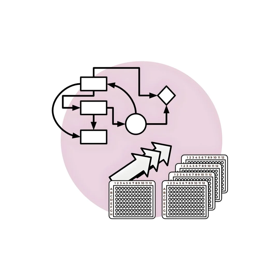 workflow development & automation