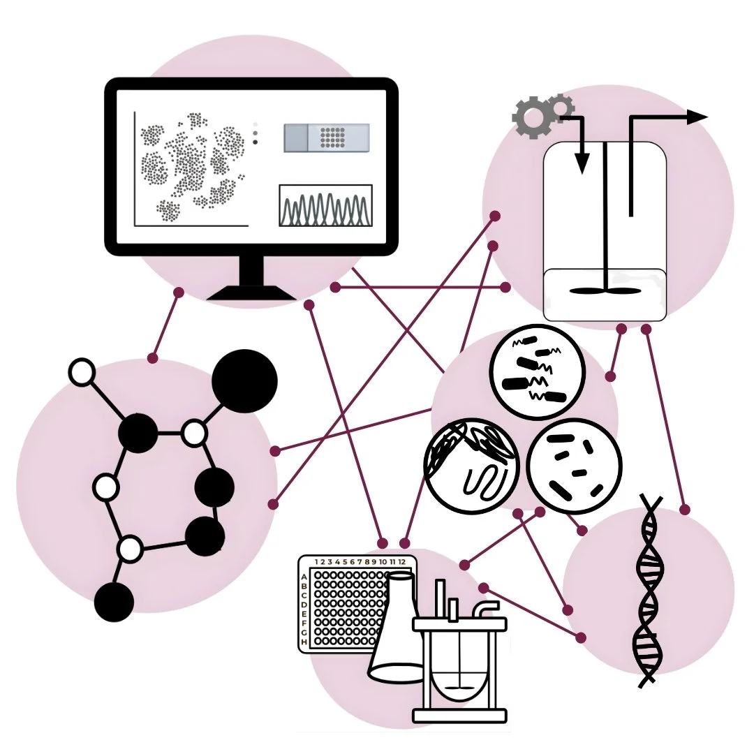systems bioengineering