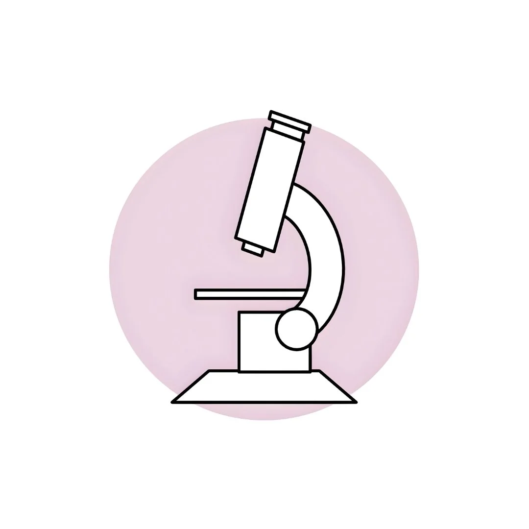 undergraduate research