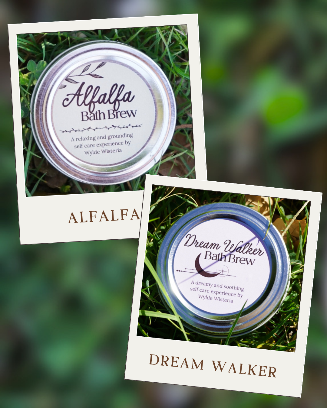 Two round containers of bath brew on grass, one labeled 'Alfalfa Bath Brew' with a leaf graphic, the other labeled 'Dream Walker Bath Brew' with a moon and star graphic.