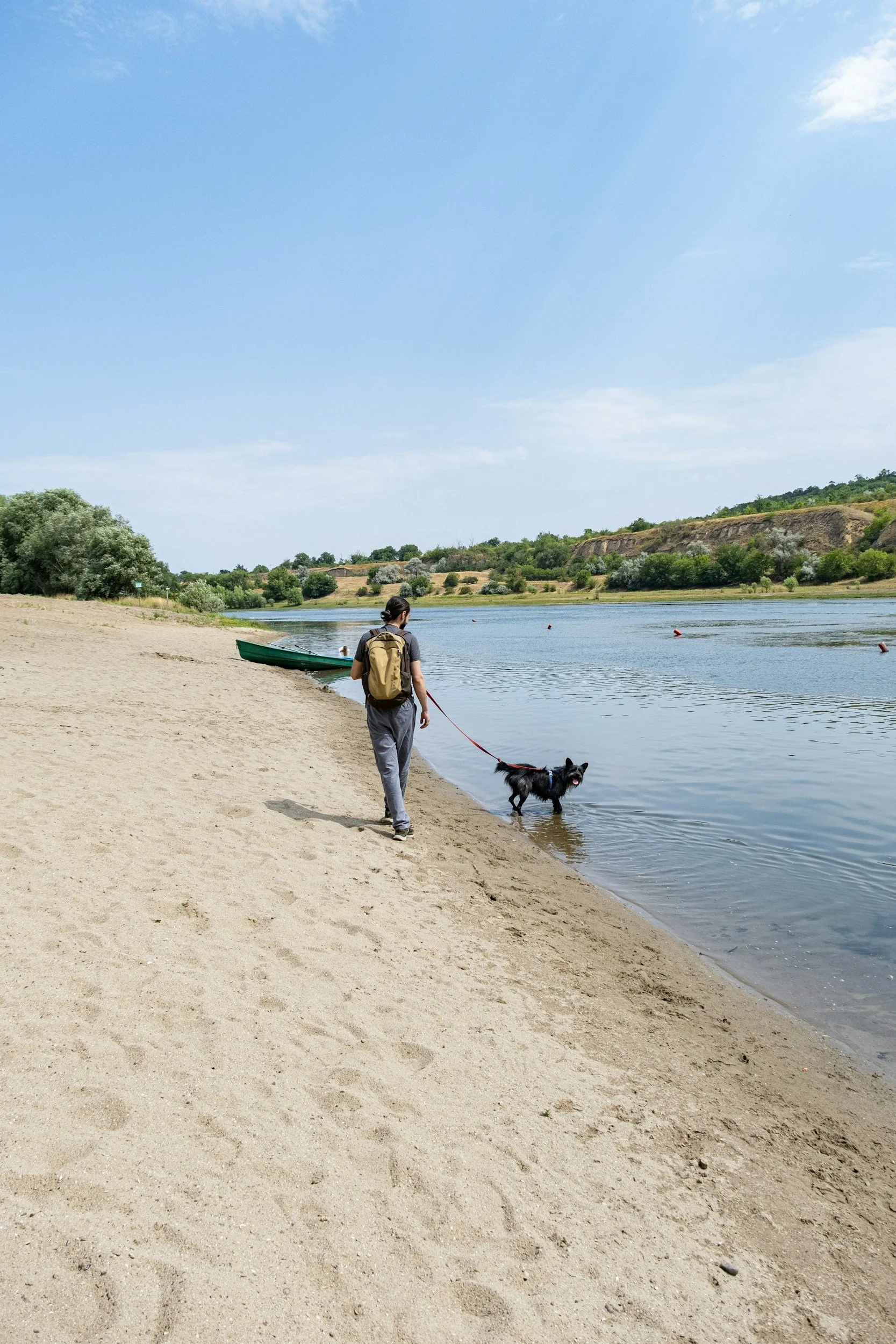 summer-dog-boarding-training