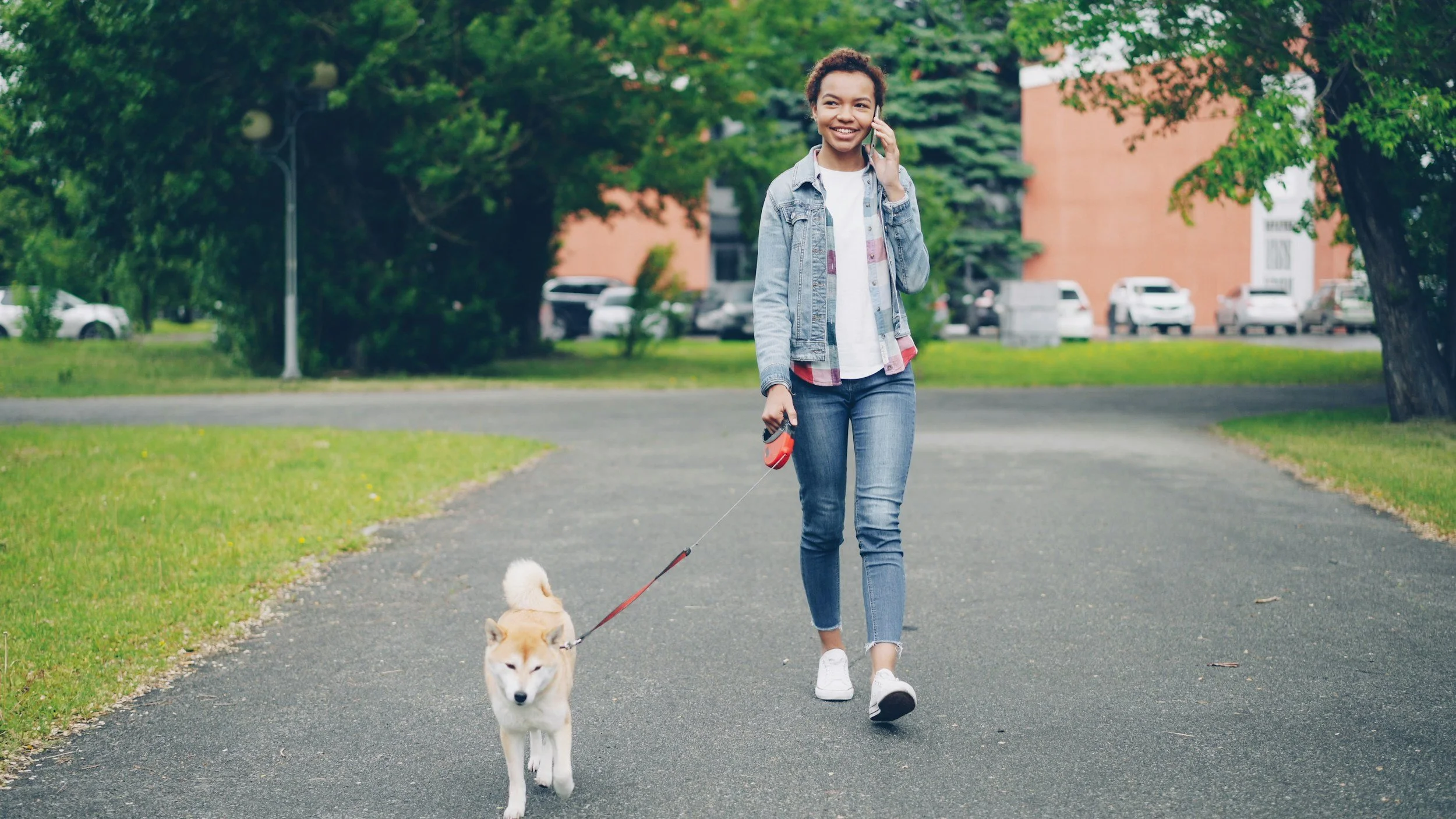 vacation-dog-boarding-dog-training
