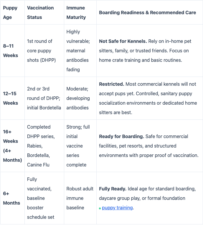 Puppy Training by Age Brackets