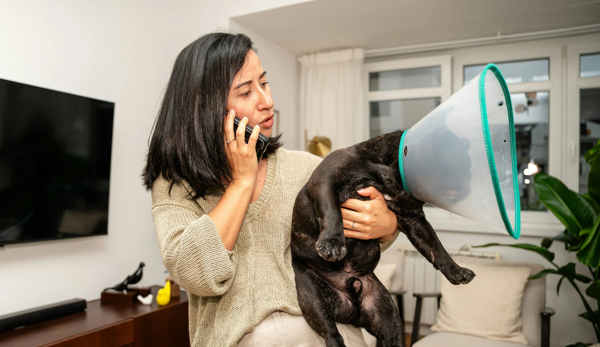 relaxed owner completing a phone assessment