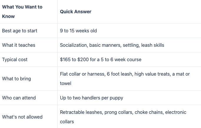 What to know for puppy preschool to be prepared