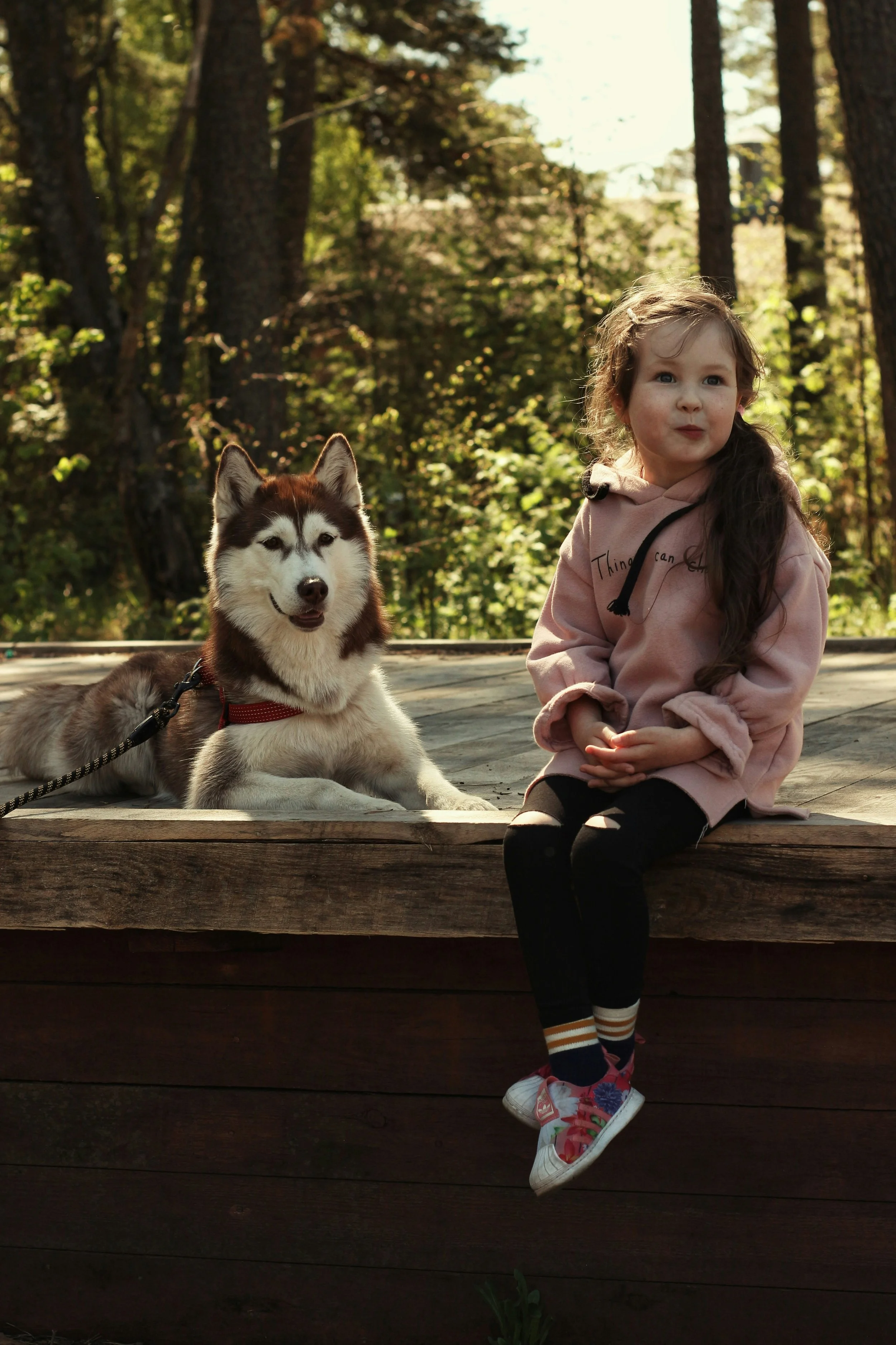 Kids going back to school time to train your dog