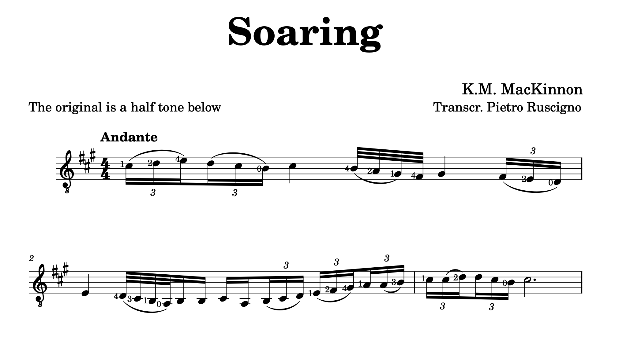 Soaring by K.M. MacKinnon