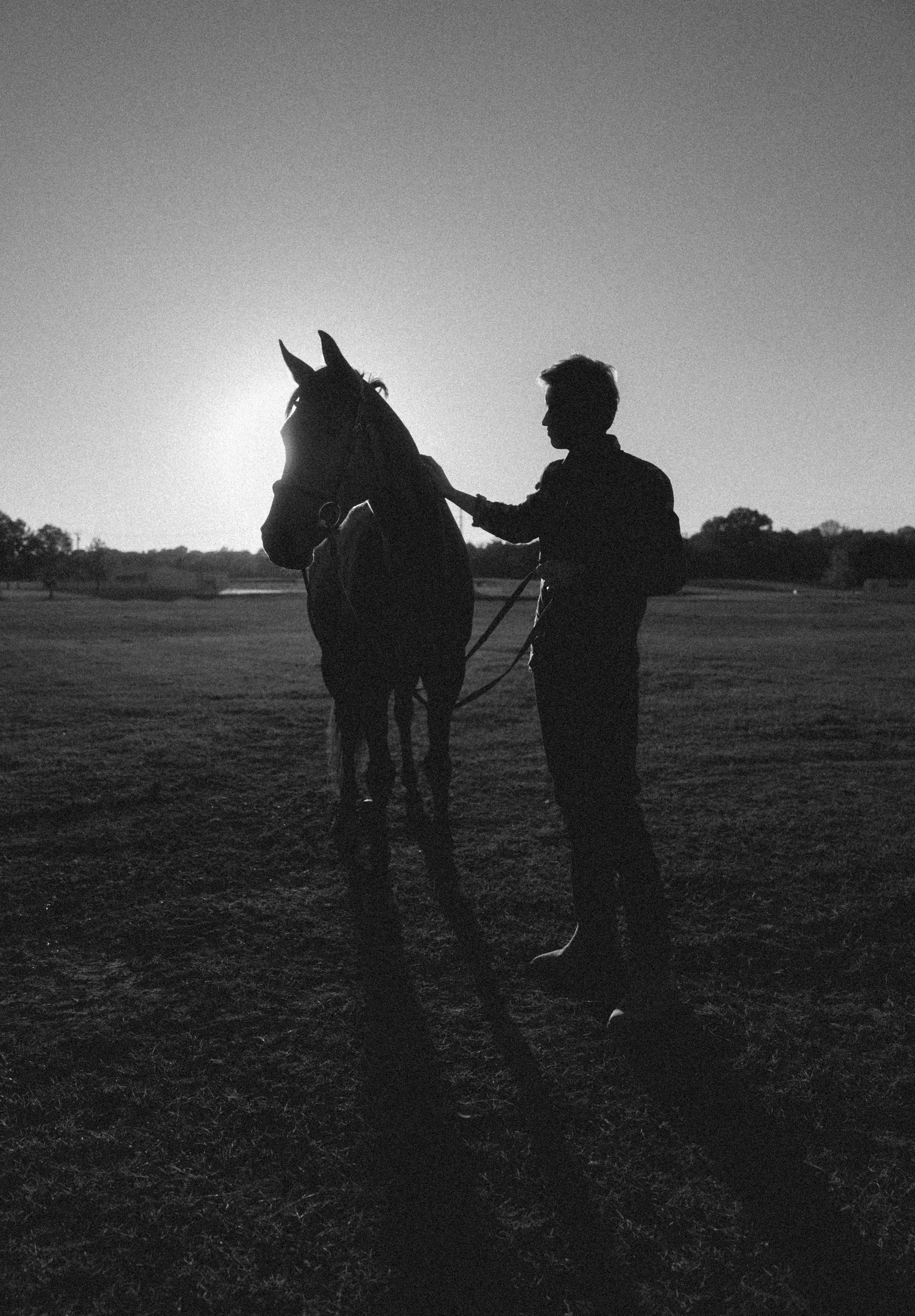 Silhouette of a person standing next to a horse in a field during sunset or sunrise.