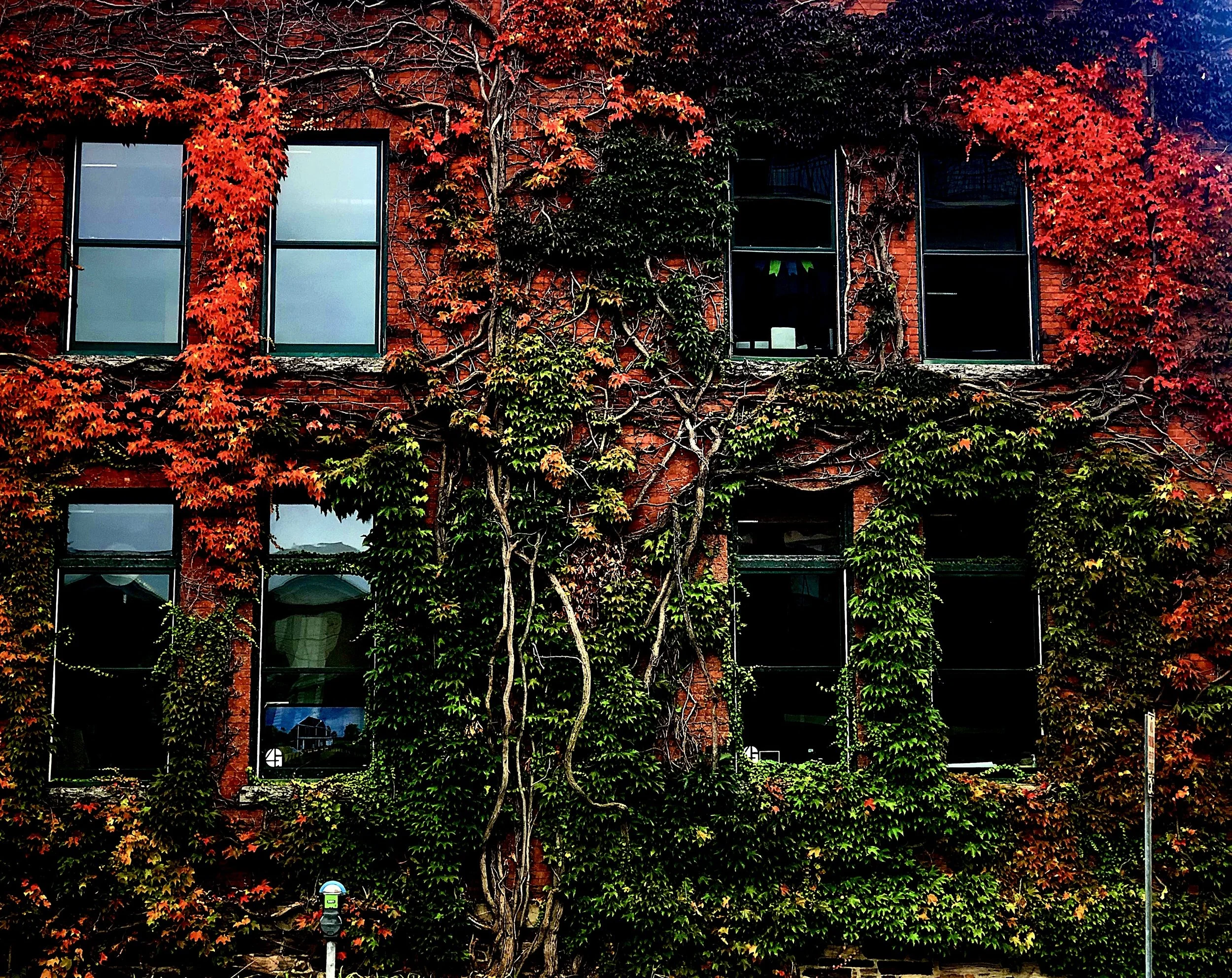 26DDE984-EF52-4A08-84A6-426FF82236CA.jpeg