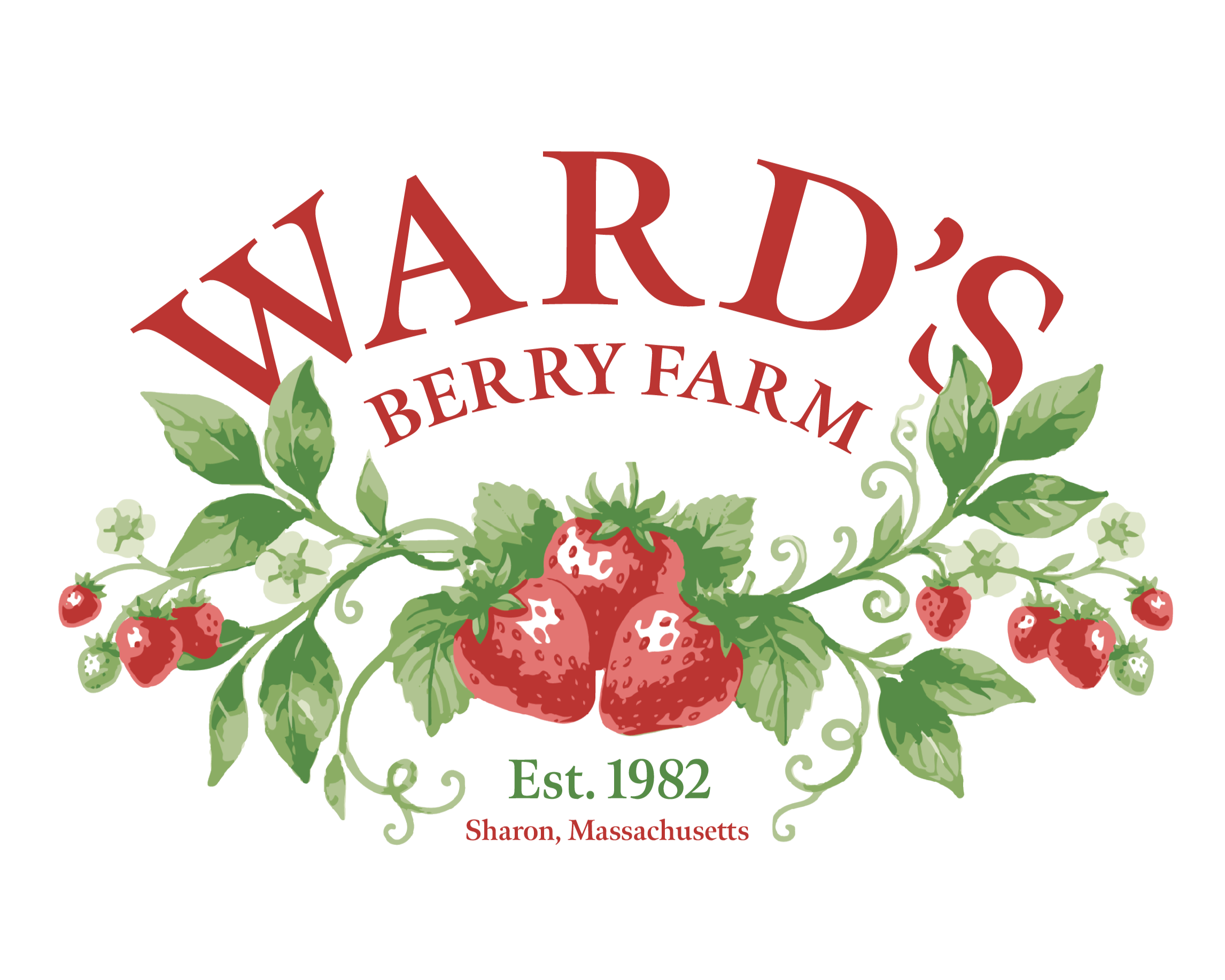 Ward%27s+Strawberry-Back+%28white+bkg%29.png