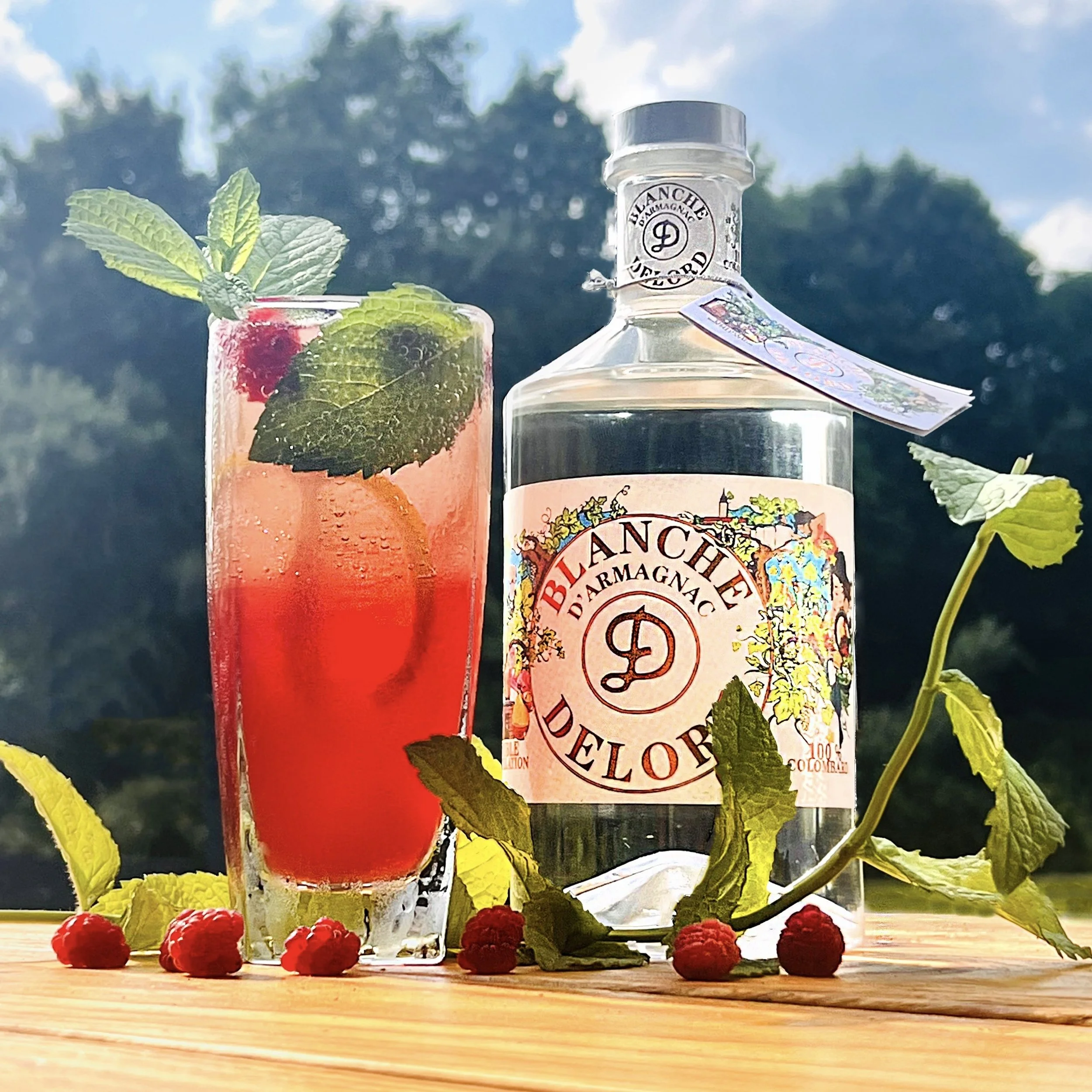 Raspberry Blanche Cooler.jpeg