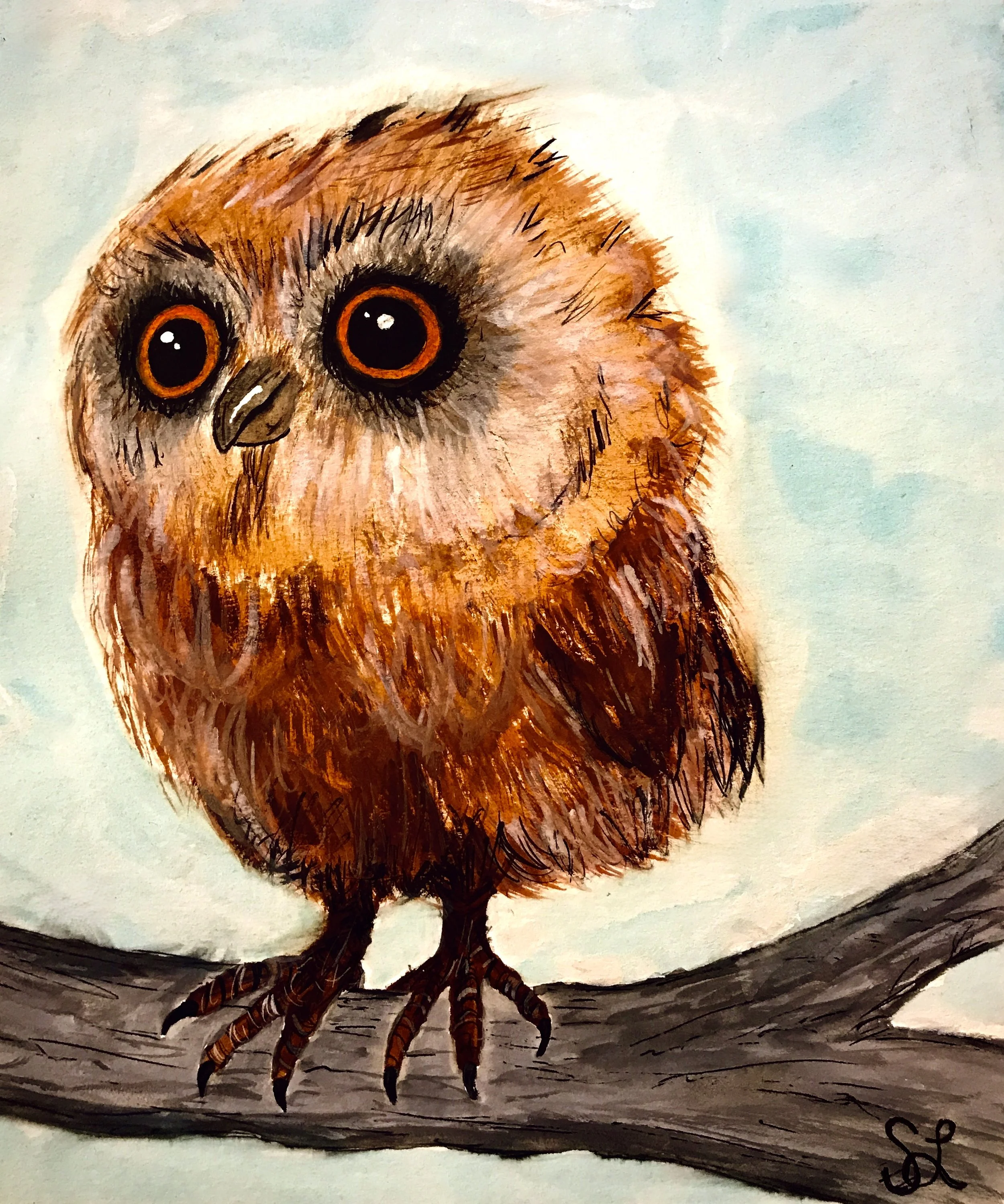 Owl.jpg