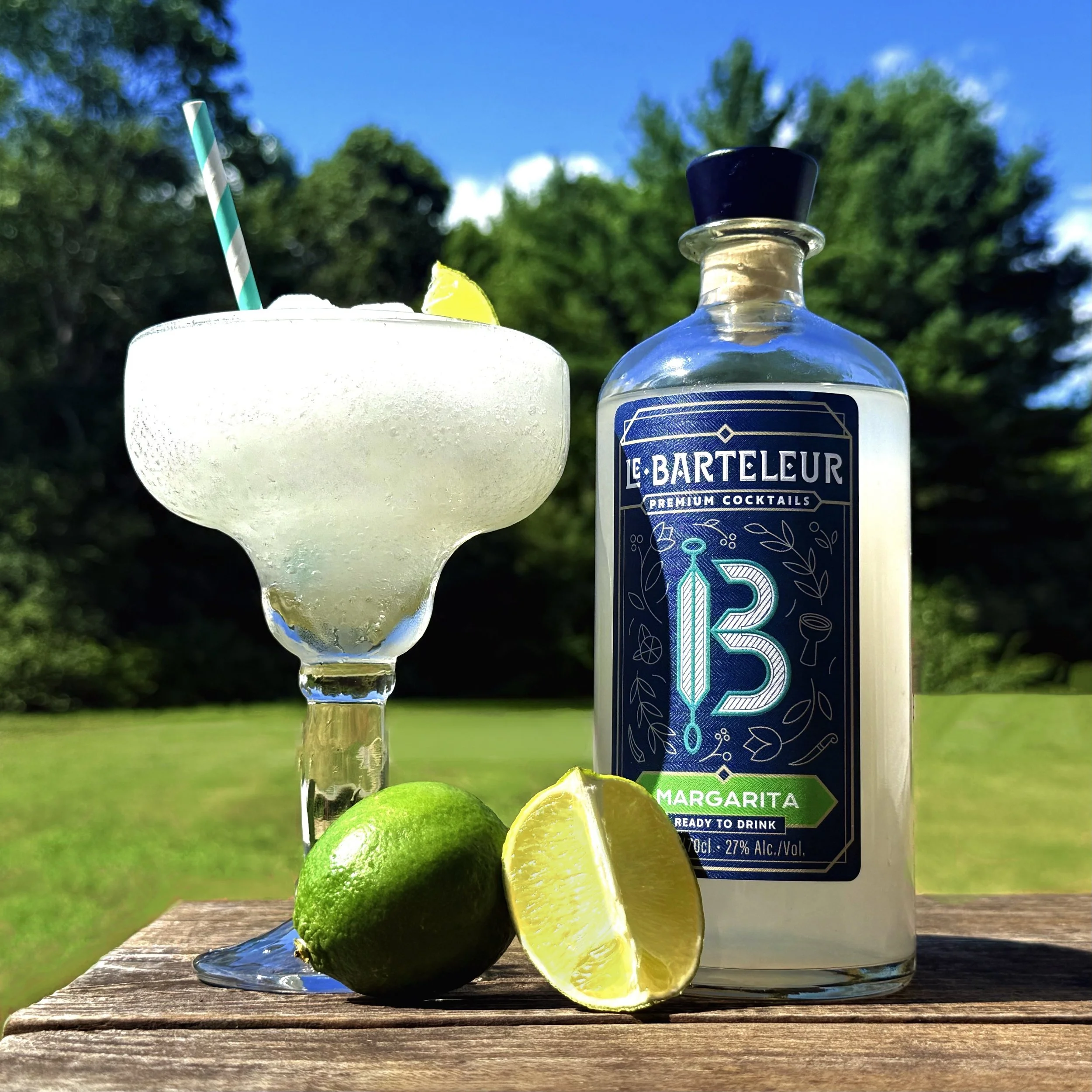 Frozen LB Margarita.jpeg