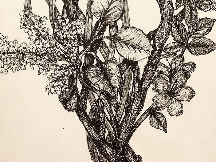 Pen & Ink