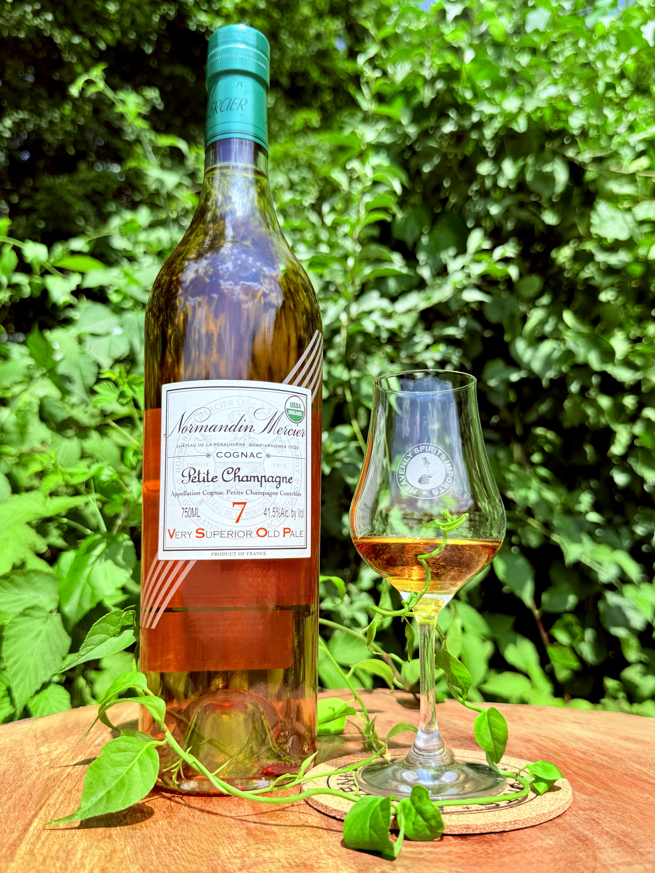 NM Organic Cognac Glam.PNG
