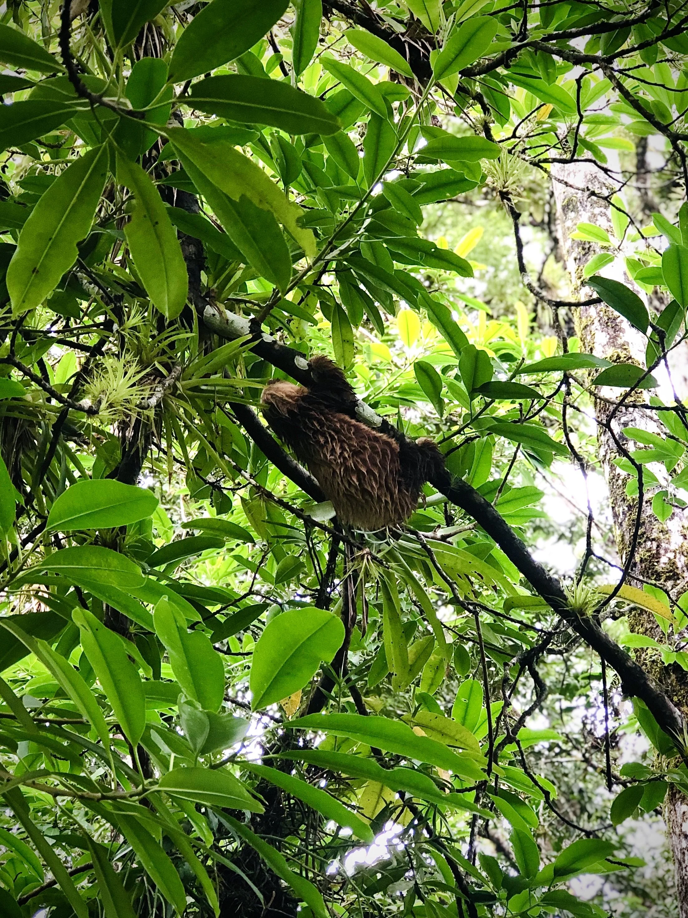 IMG_0806.jpeg