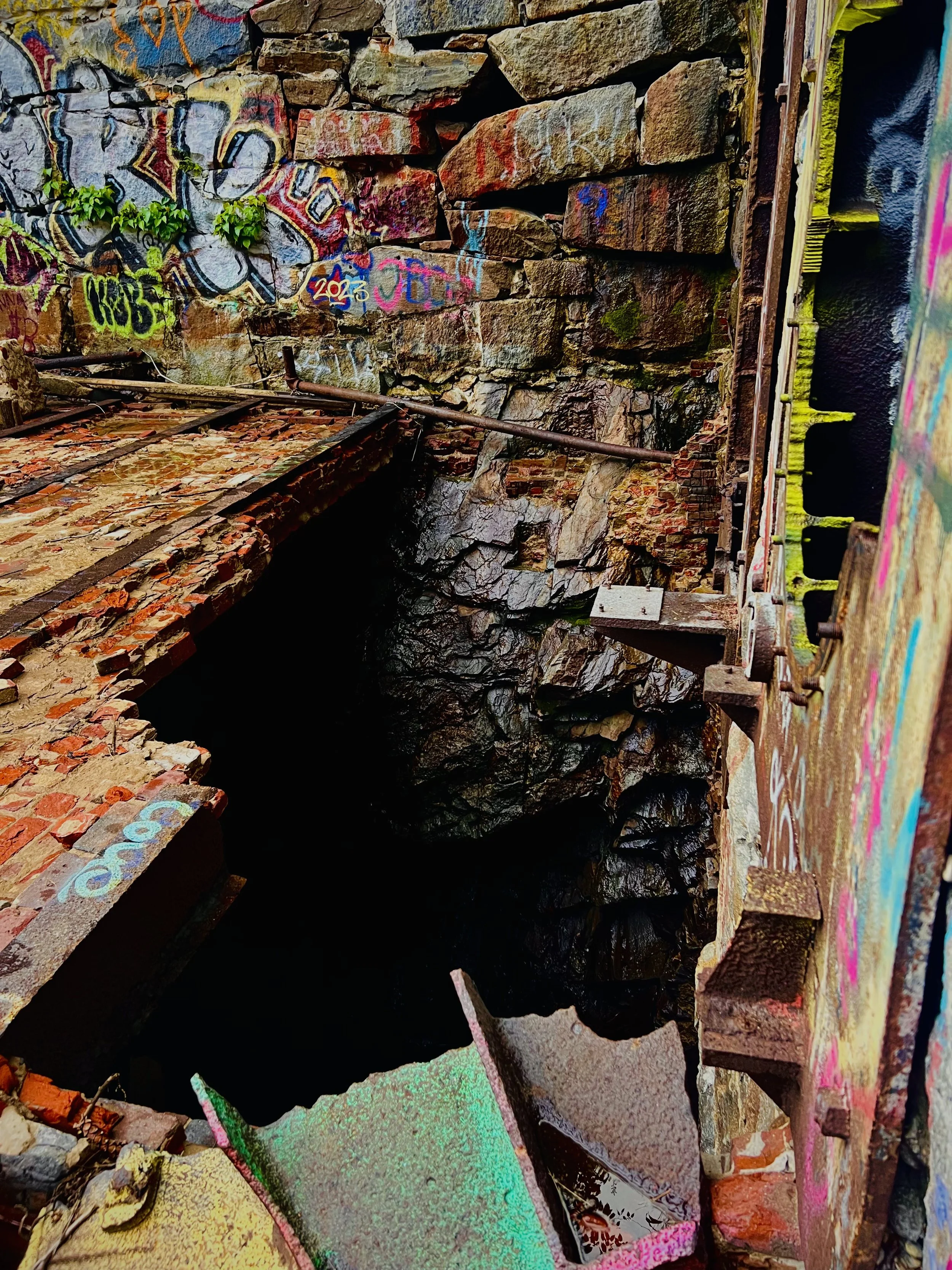 IMG_4436 4.jpeg