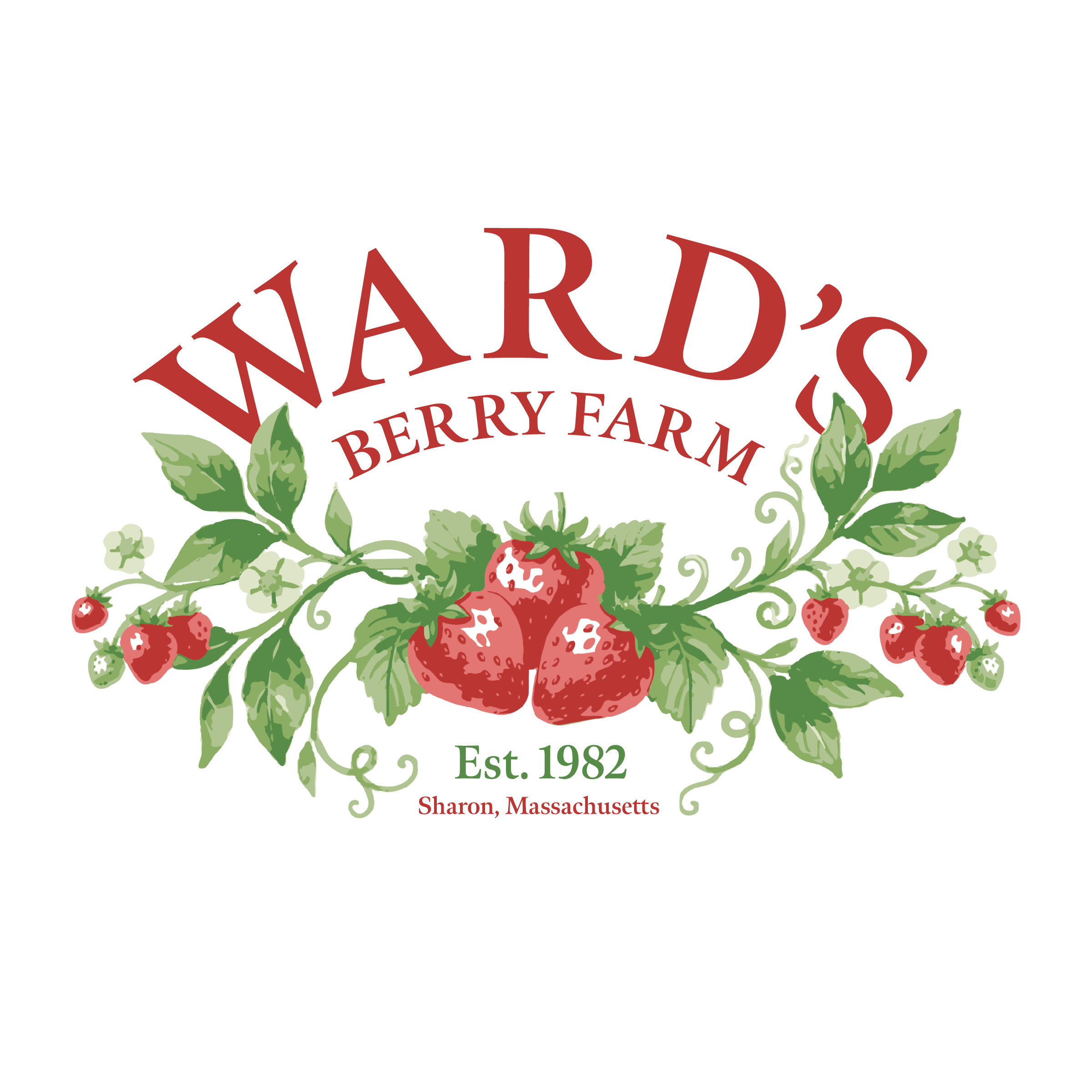Logo Design