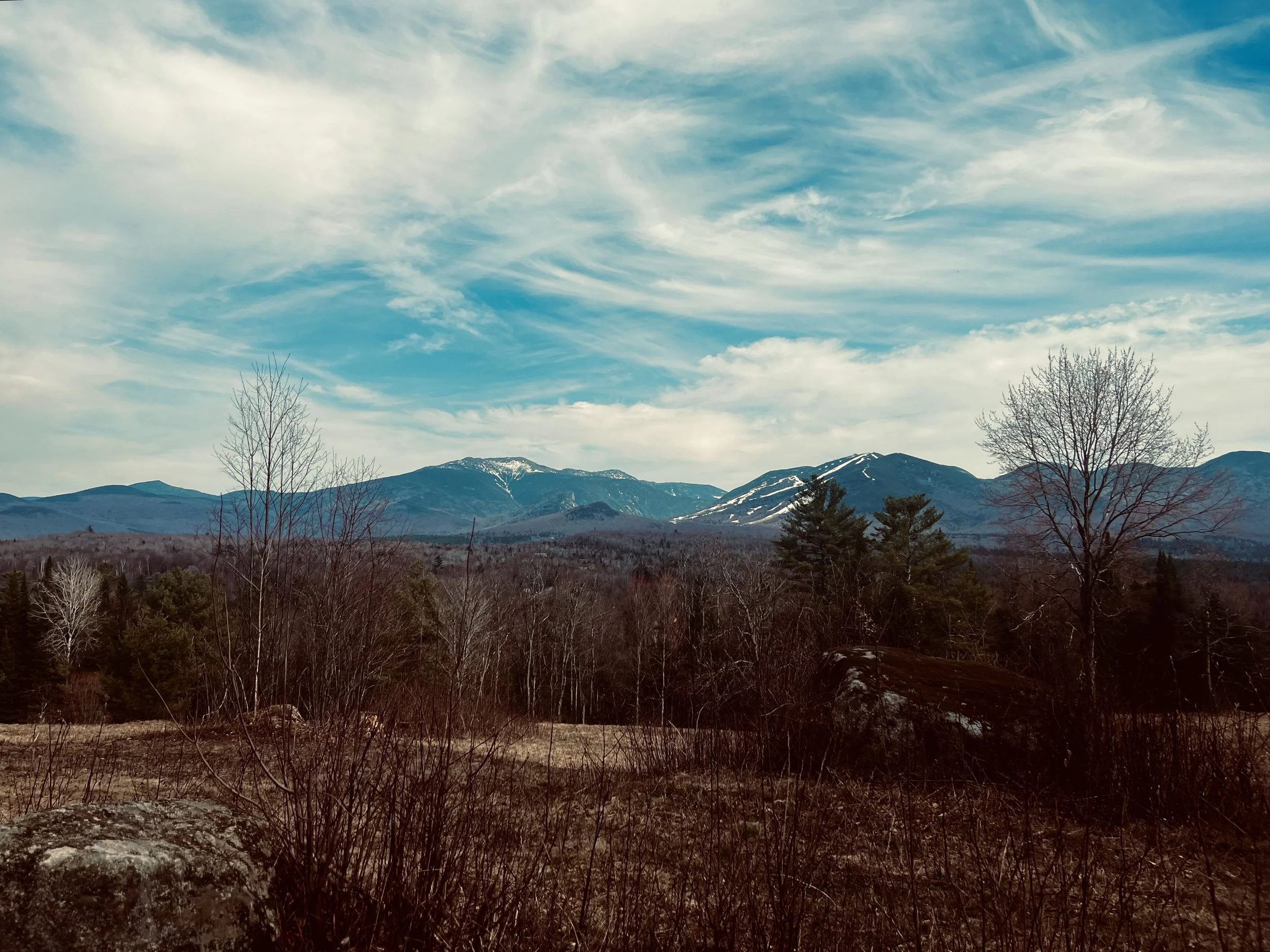 IMG_5494 5.jpeg