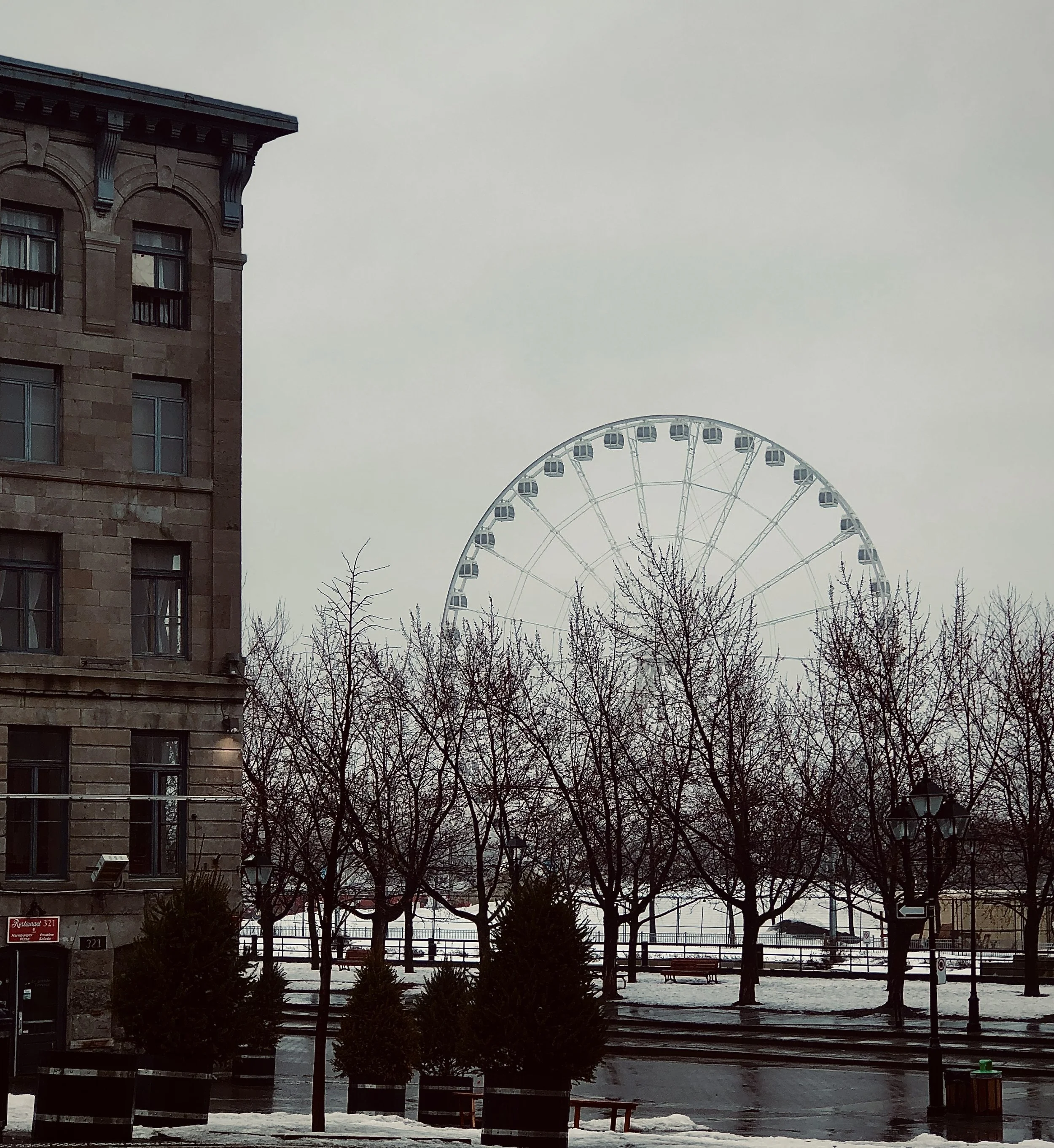 IMG_5345.jpg