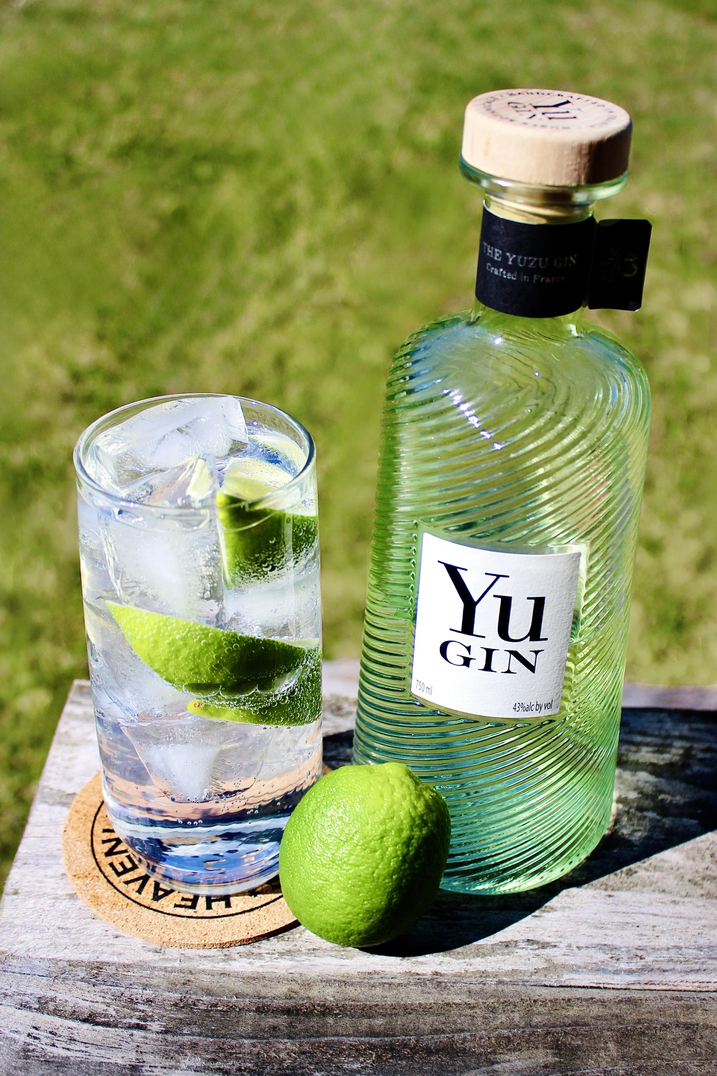 G&T Yu Gin.jpeg