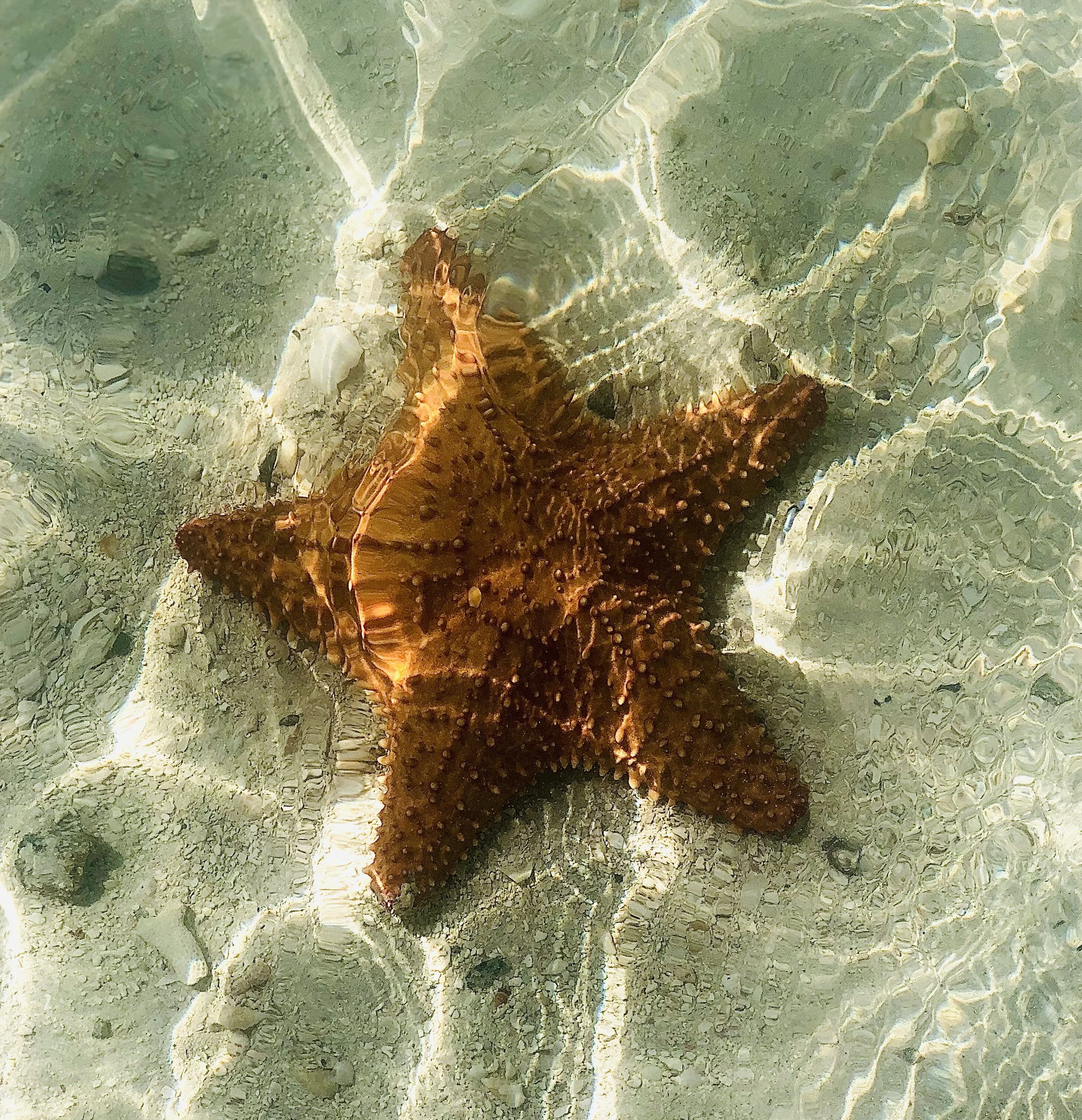 IMG_3461.jpg