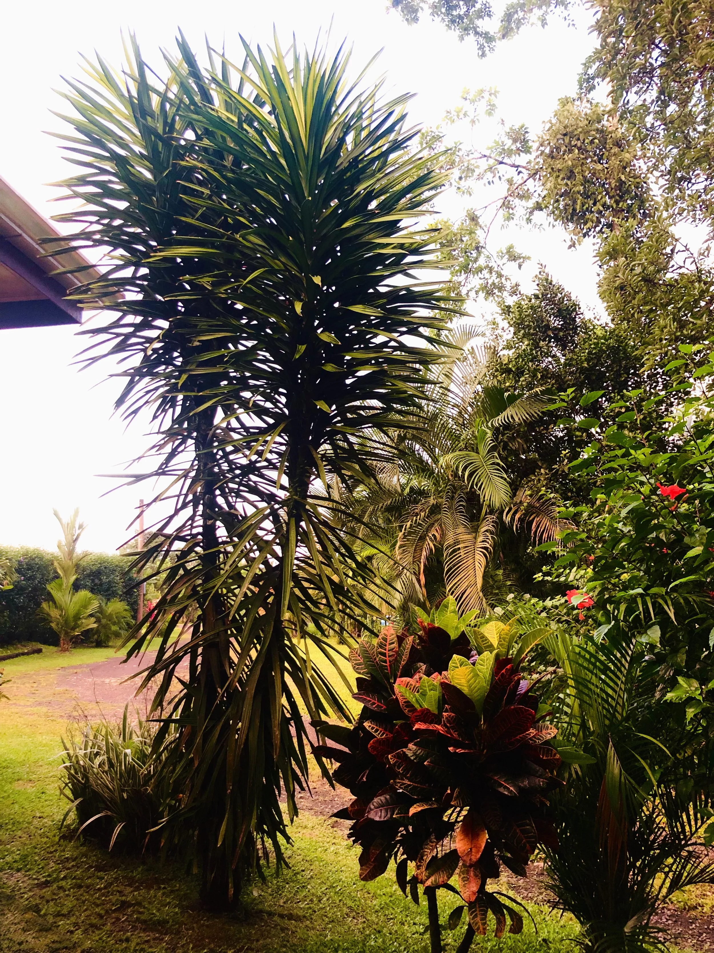 IMG_0943.jpeg