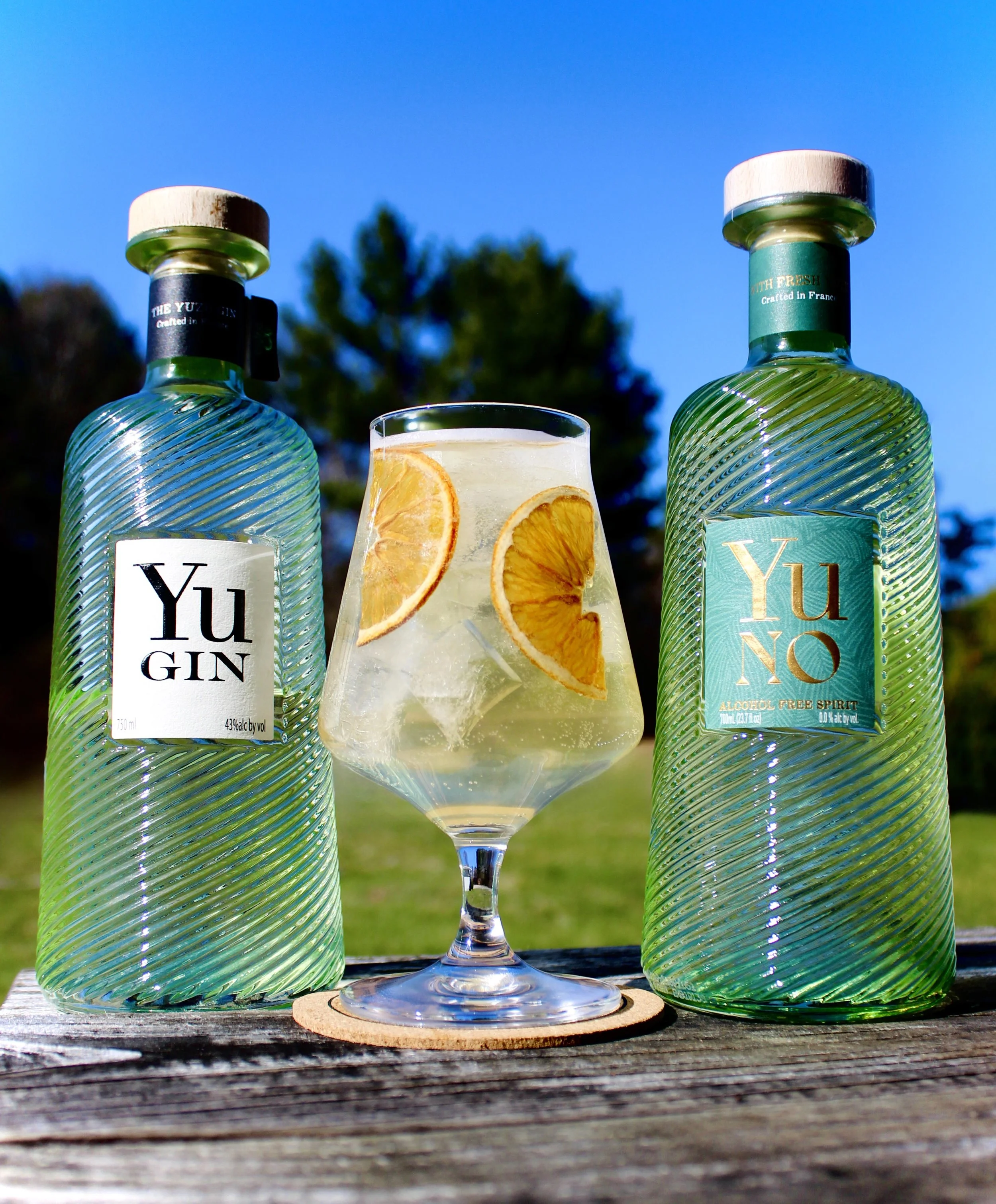 Pineapple Mango Gin Spitz:Both.jpeg