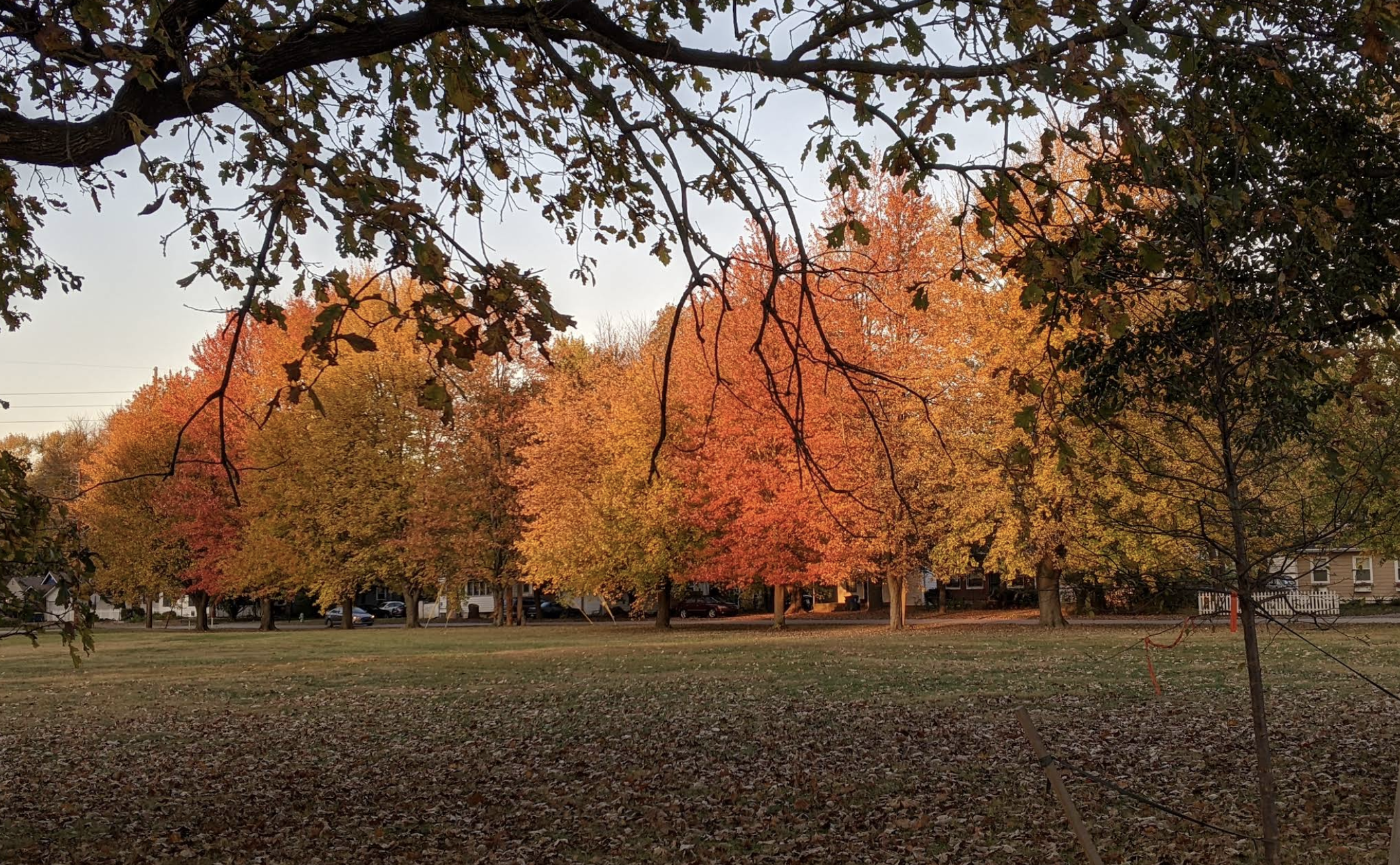 Bellaire