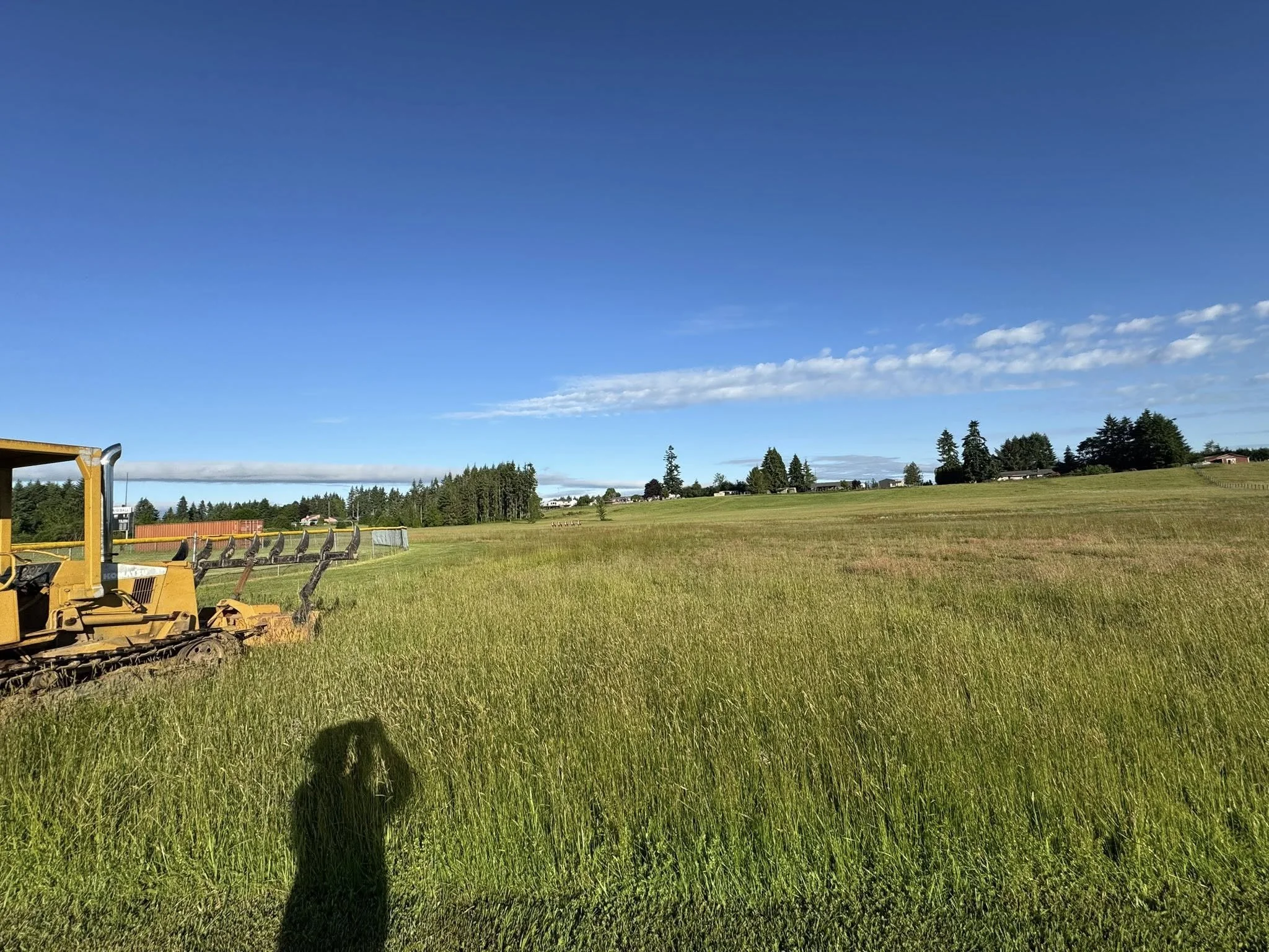 Book Your Land Clearing Project in Clark or Cowlitz Counties Today