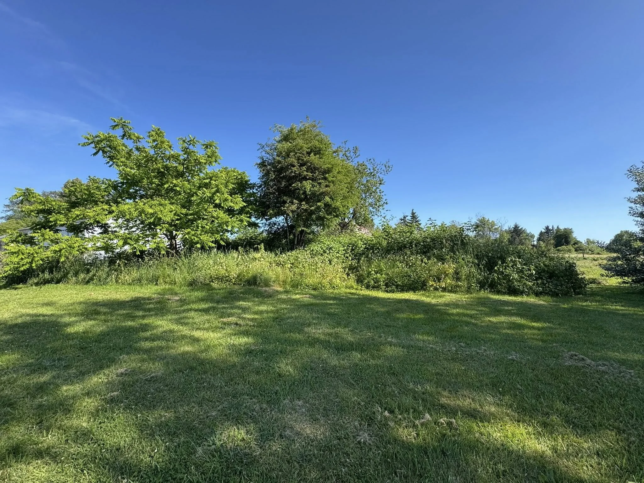 Lewis County Land Clearing