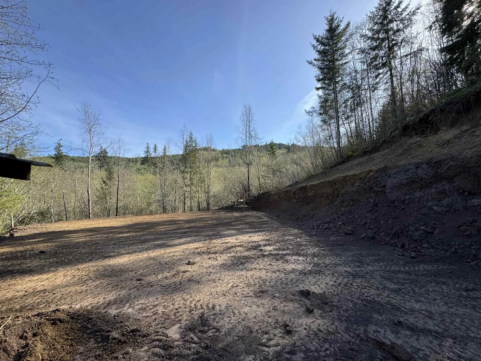 Woodland, WA Land Clearing
