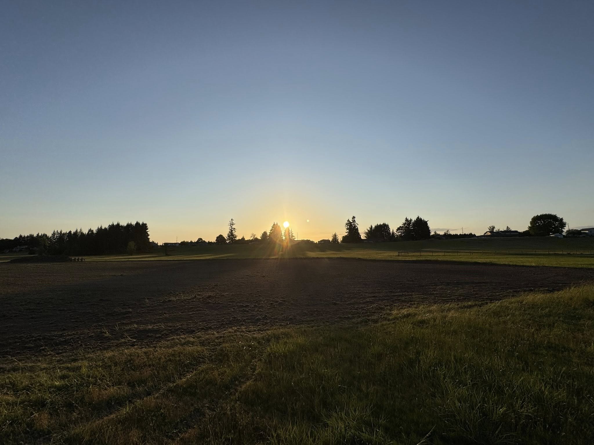 Professional Site Prep In Clark County, WA