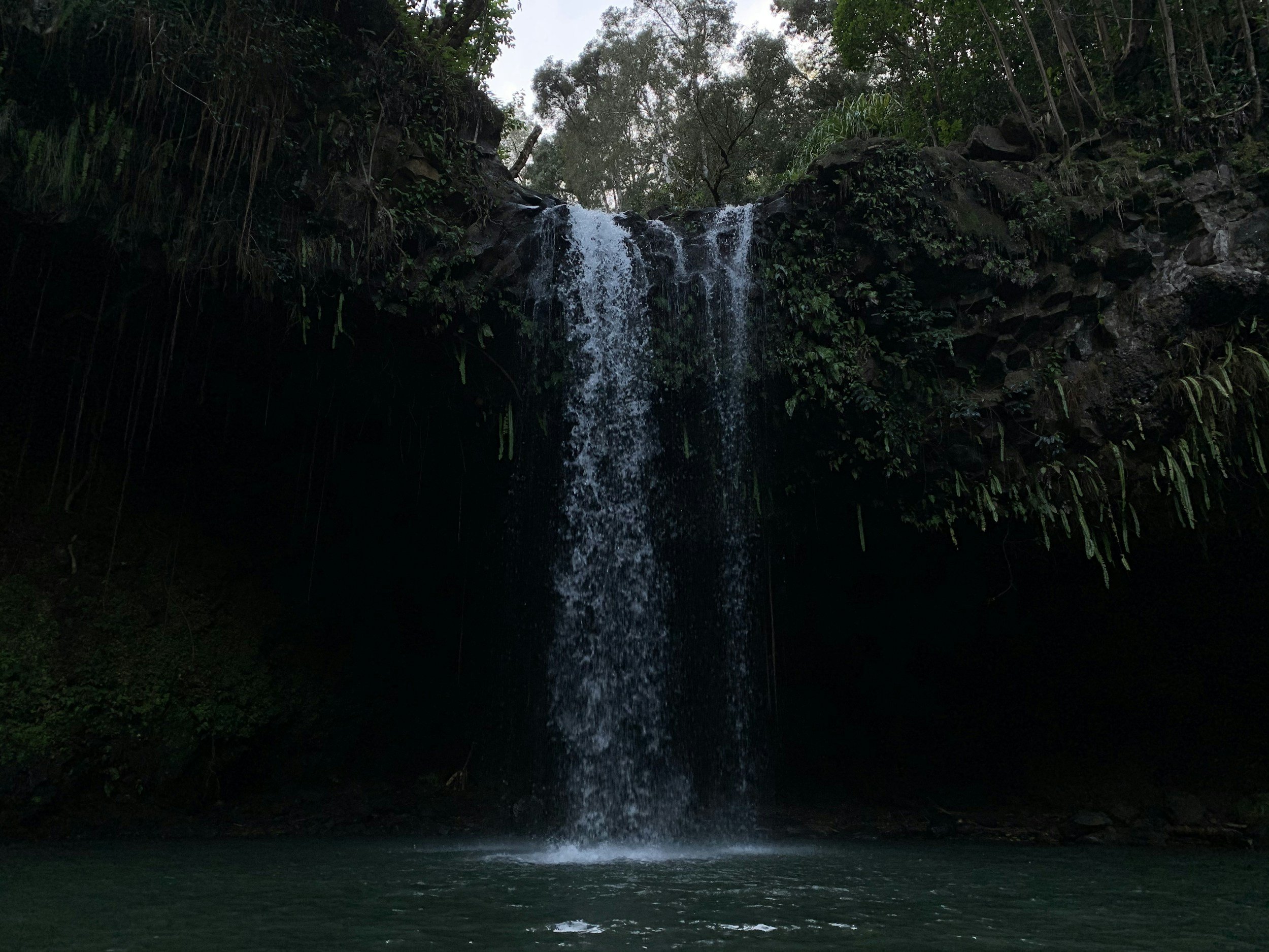 unsplash-image-SMYVZXHslVI.jpg