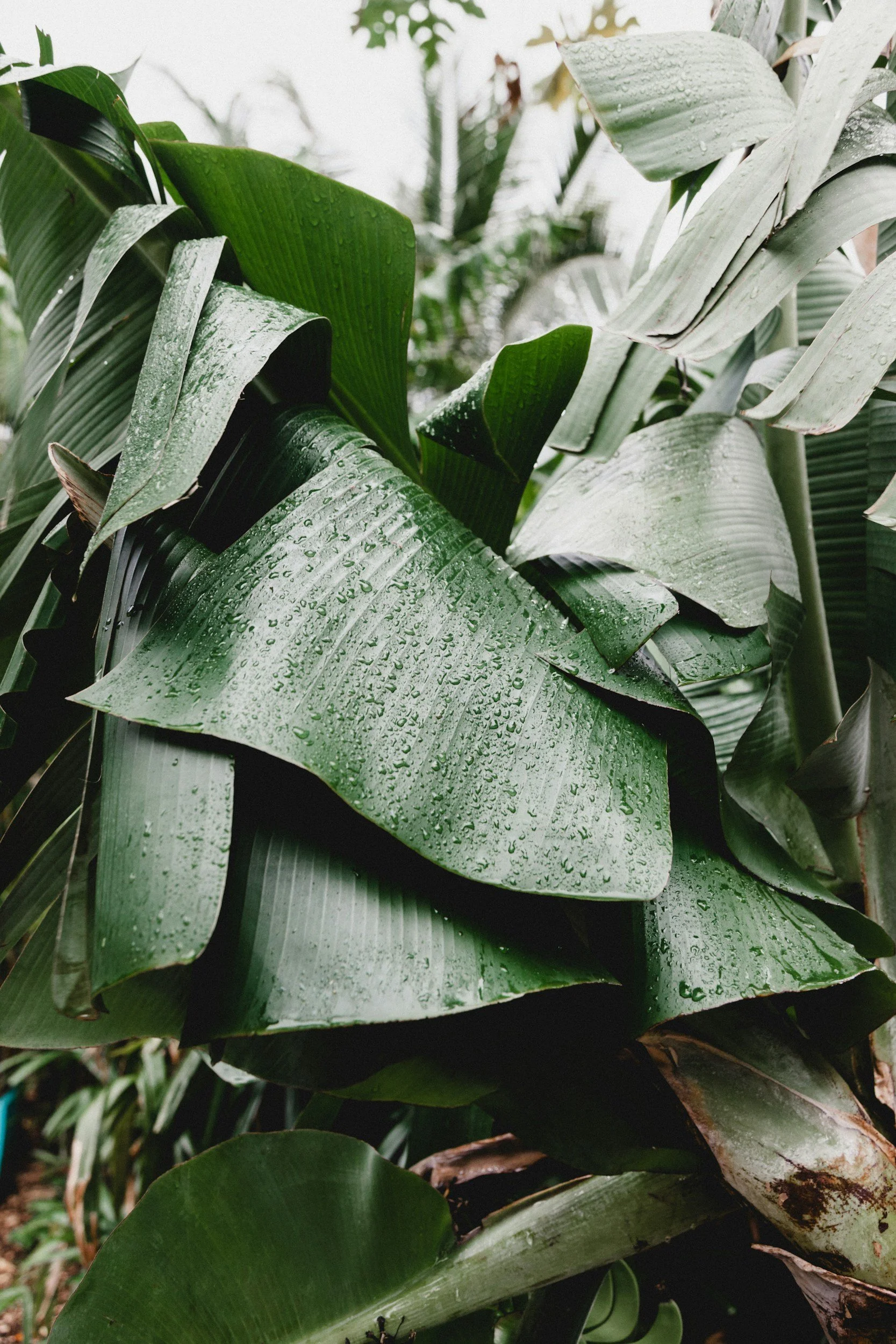 unsplash-image-6jUBQ_44QQE.jpg