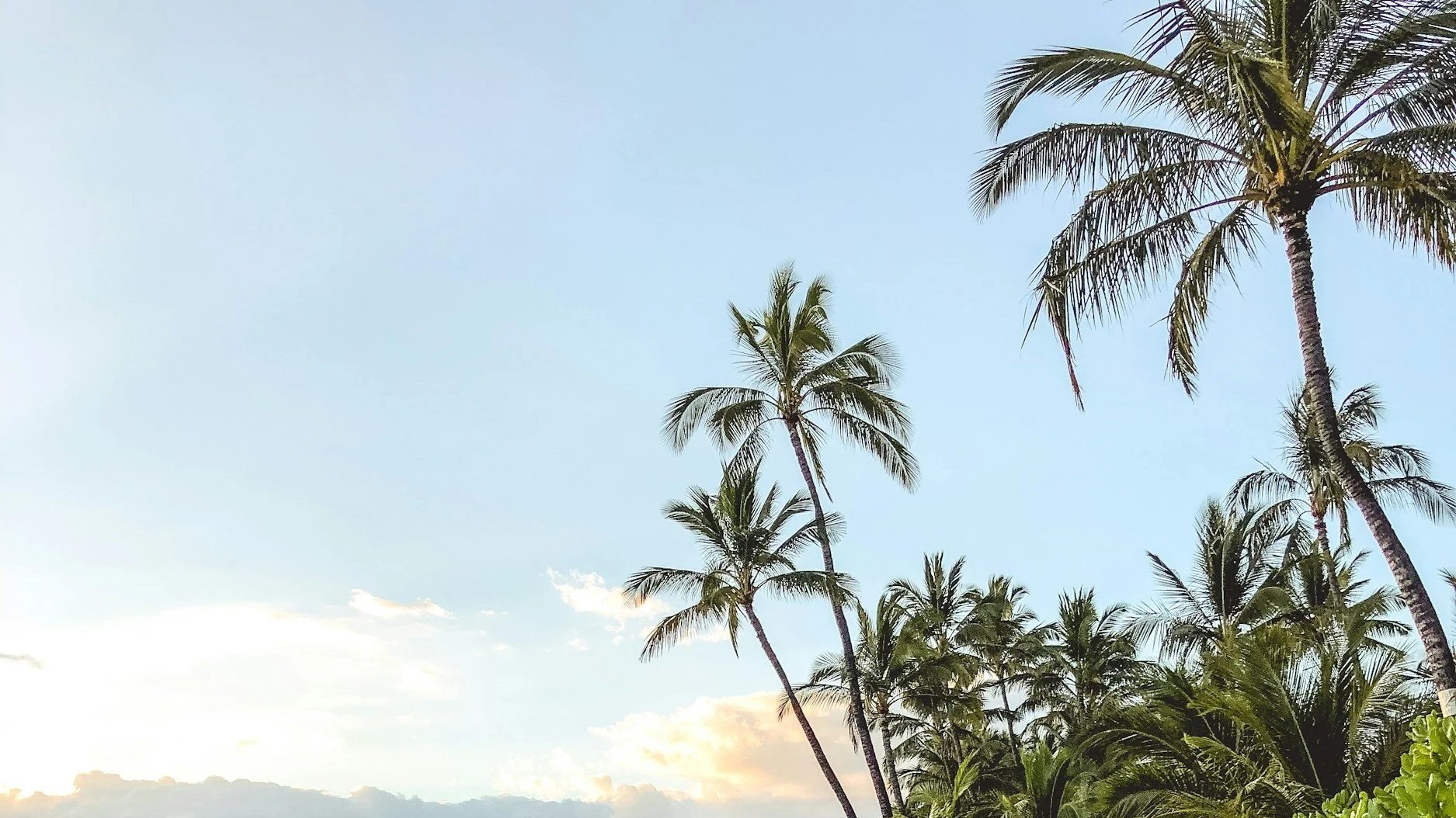 unsplash-image-9QoDLDEu9Kg.jpg