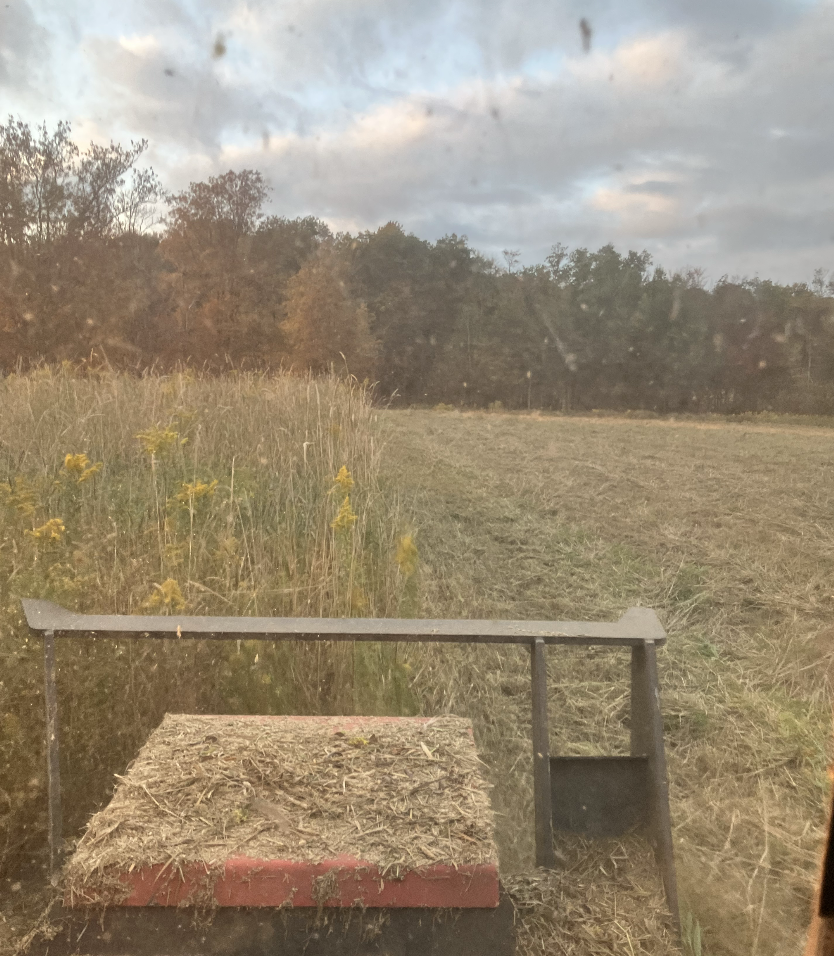 Screenshot 2026-03-13 at 6.28.59 PM.png