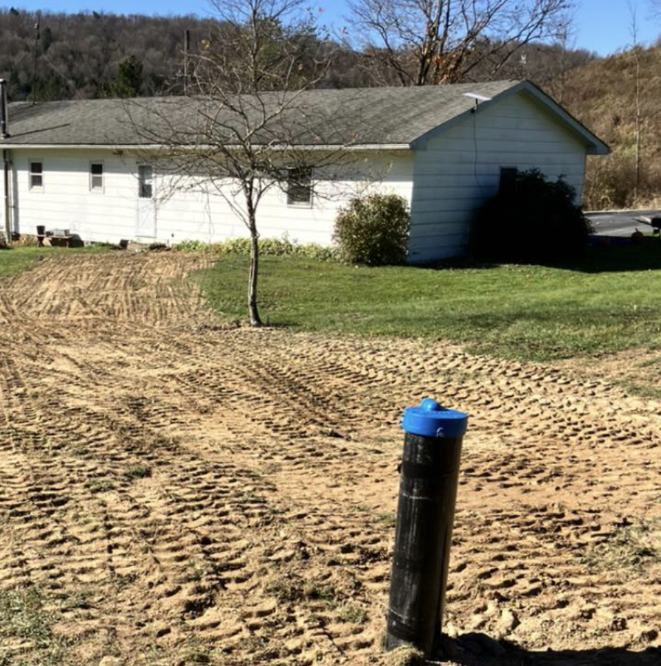 A residential yard with a small white house, a leafless tree, green grass, and a dirt area with tire tracks. There is a blue and black post in the foreground.