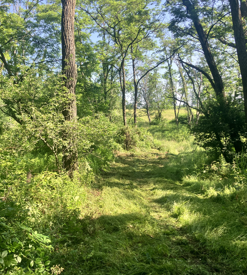 Screenshot 2026-03-13 at 6.29.24 PM.png