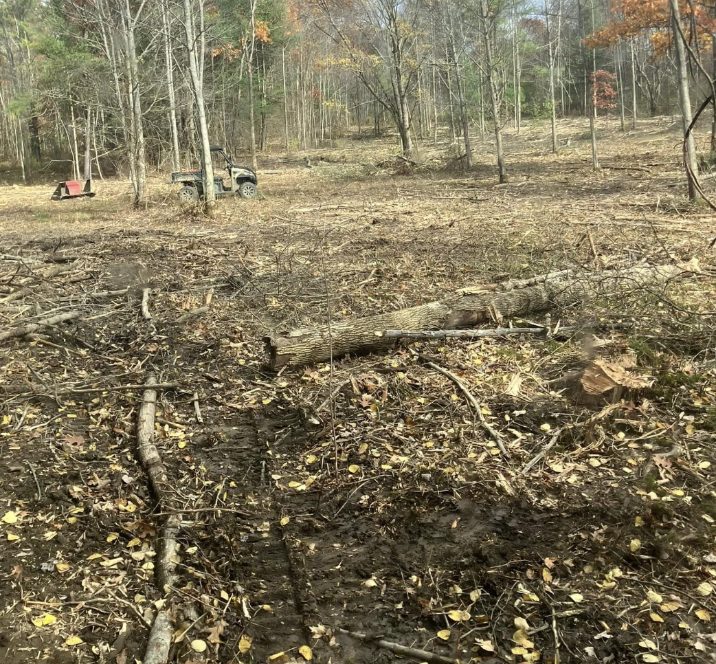 A cleared forest area with tree stumps and fallen branches, with a utility terrain vehicle and trail equipment in the background.