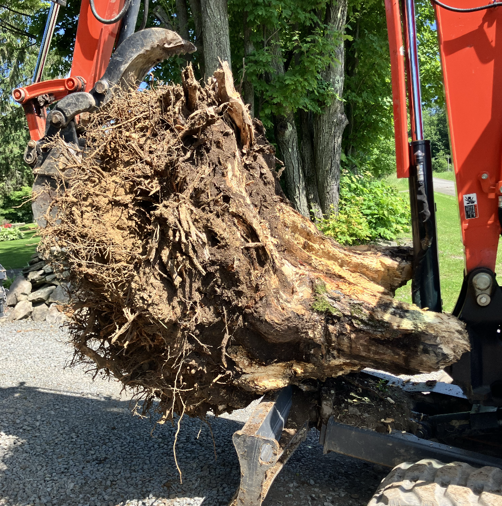 Screenshot 2026-03-13 at 6.29.56 PM.png