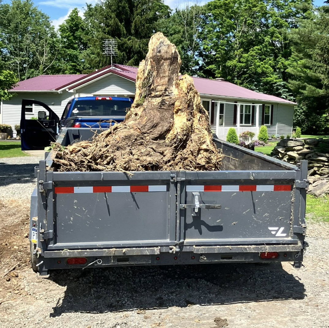 A trailer filled with a large cut tree root and stump, parked in front of a house with a purple roof, surrounded by green trees.