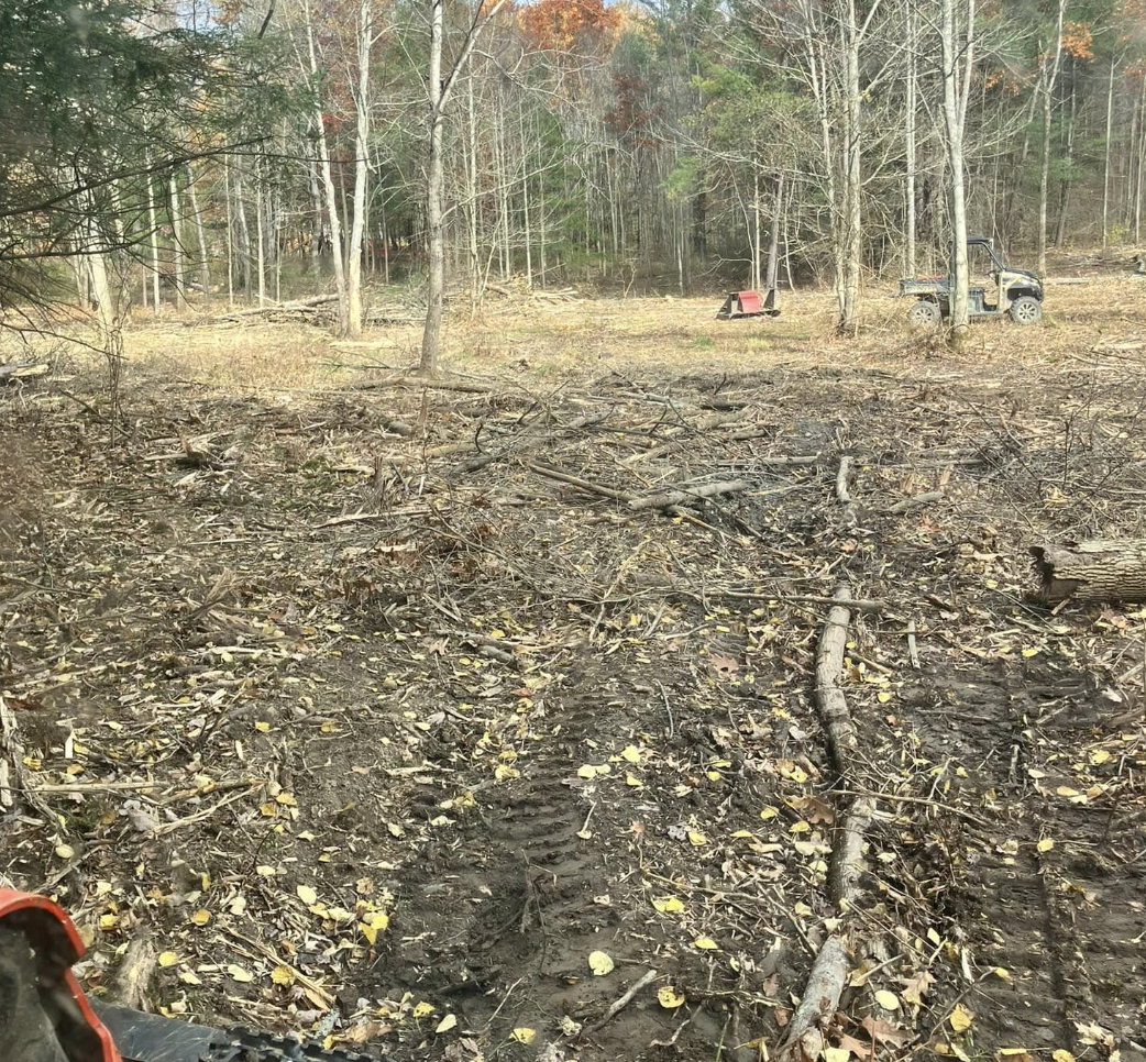 Cleared forest area with fallen branches, trees, and tire tracks, with a utility vehicle and a lawn mower in the background.