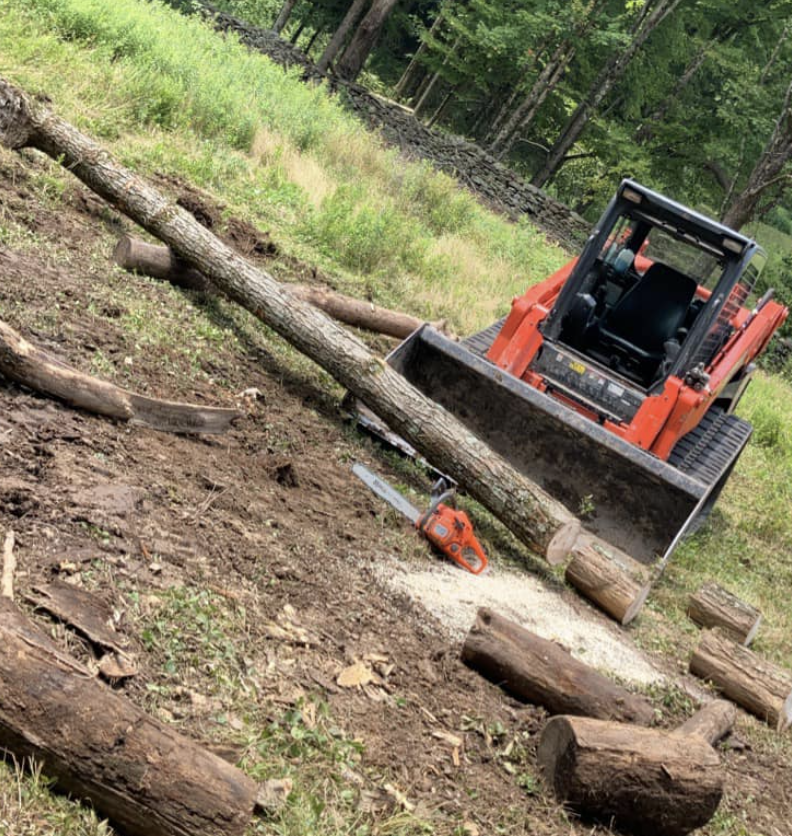 A small orange and black excavator cutting down a tree in a forested area.