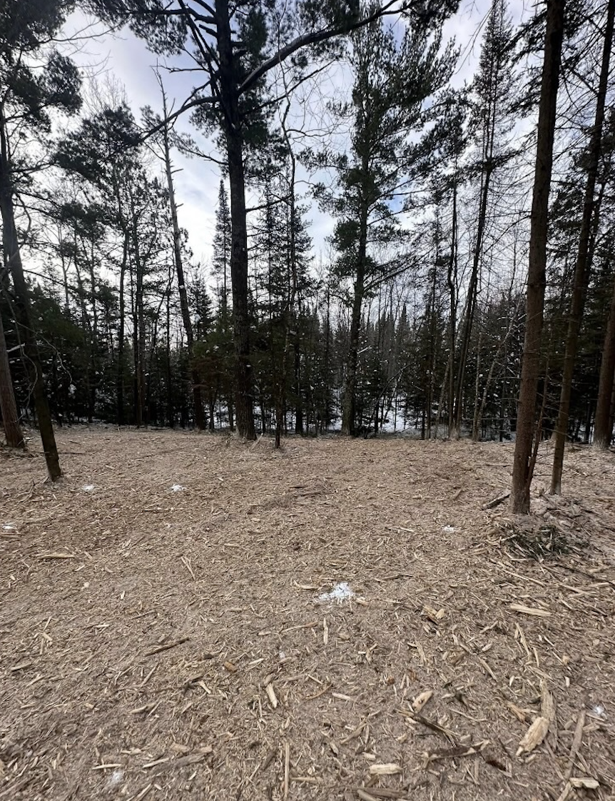 Screenshot 2026-03-13 at 6.28.19 PM.png