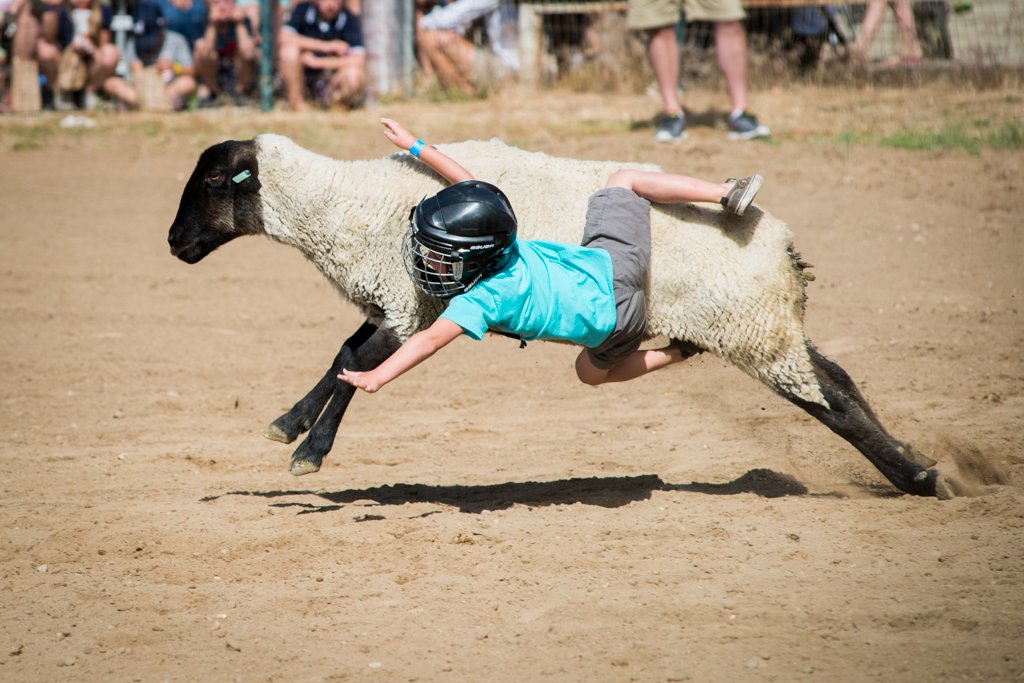 muttin bustin 2014.jpg